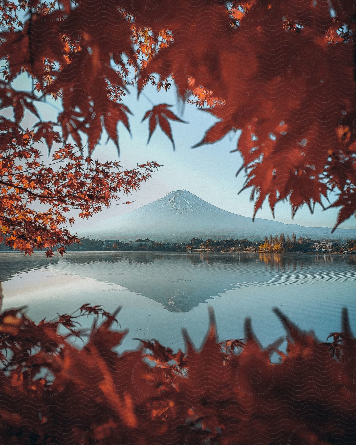 Mountain and city seen from across a river through foliage