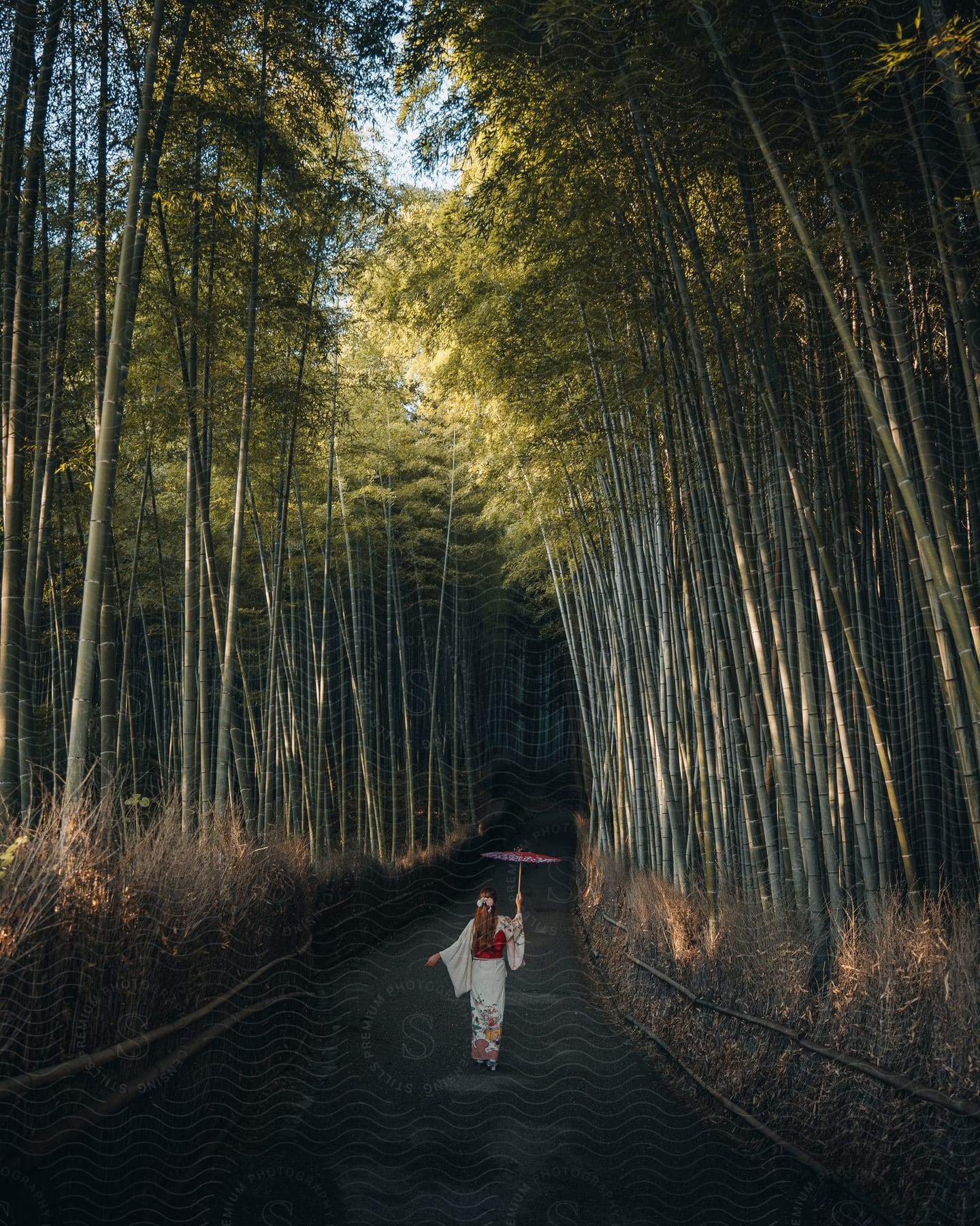 A person walking on a road surrounded by trees and vegetation