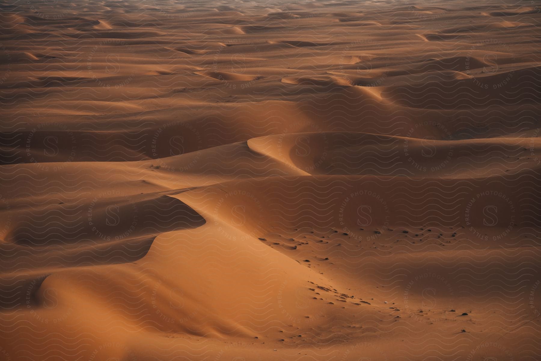 A barren desert landscape with brown ground and a clear sky