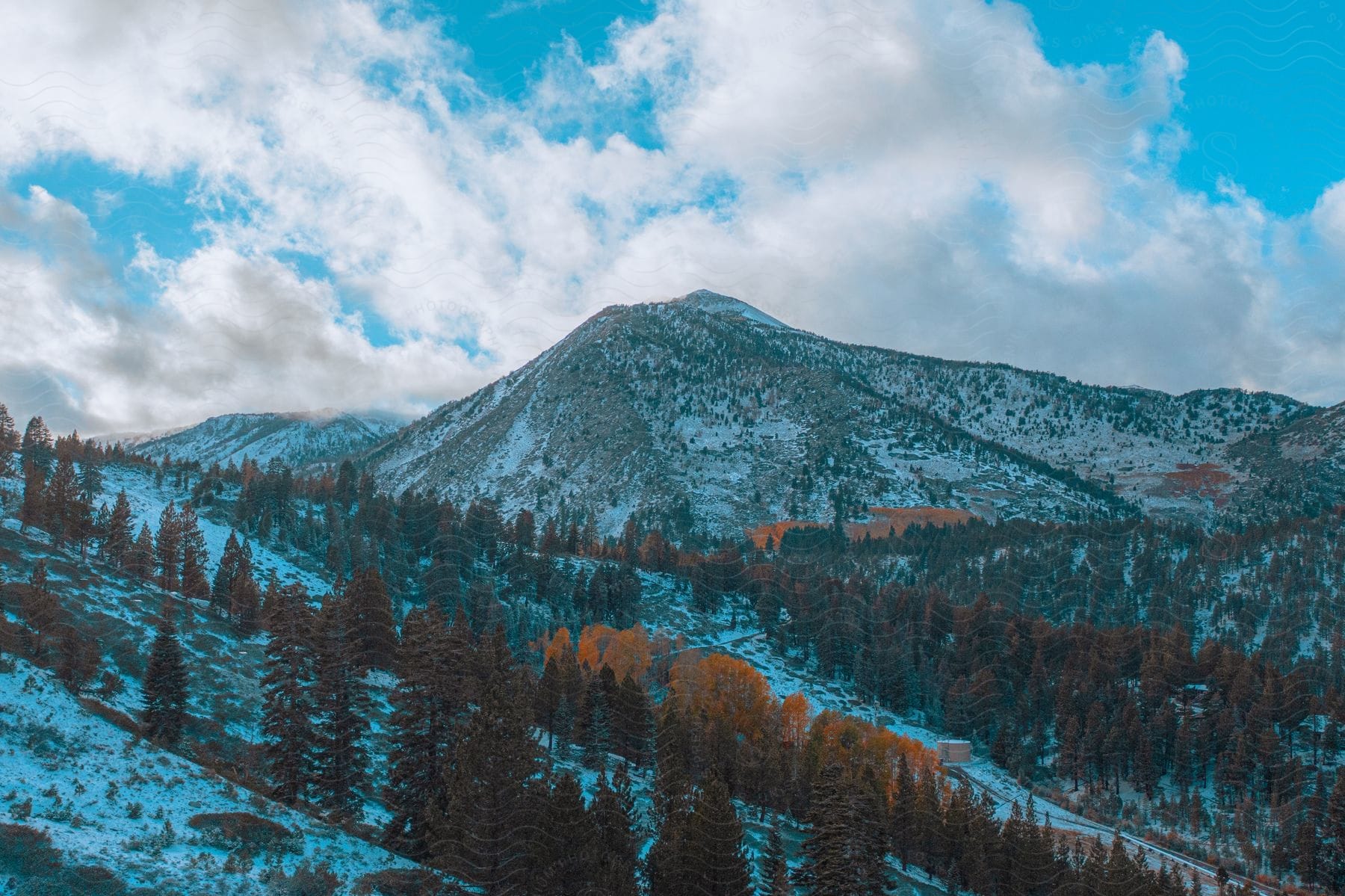 Aerial view of a snowcovered mountain with trees and vegetation