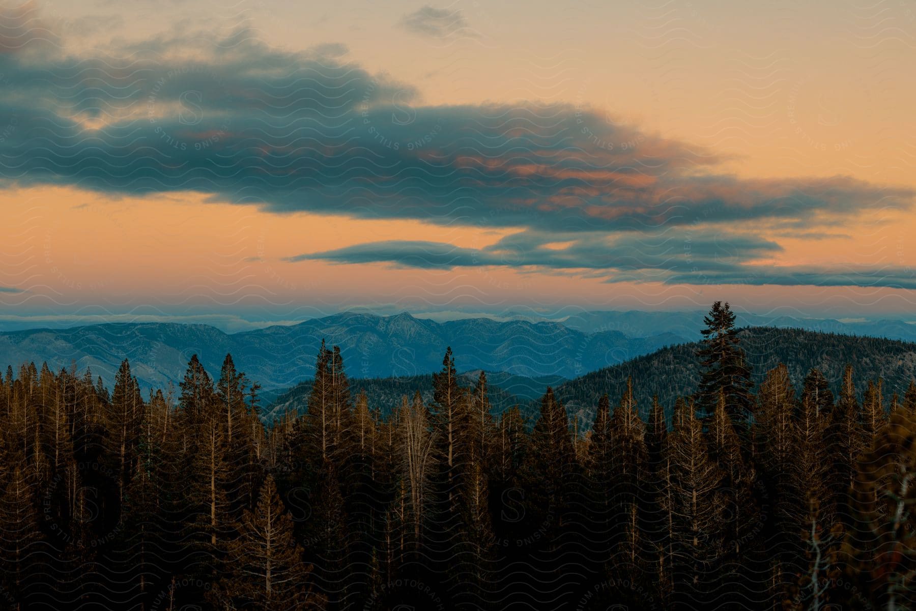 A serene mountain landscape with trees and a clear sky