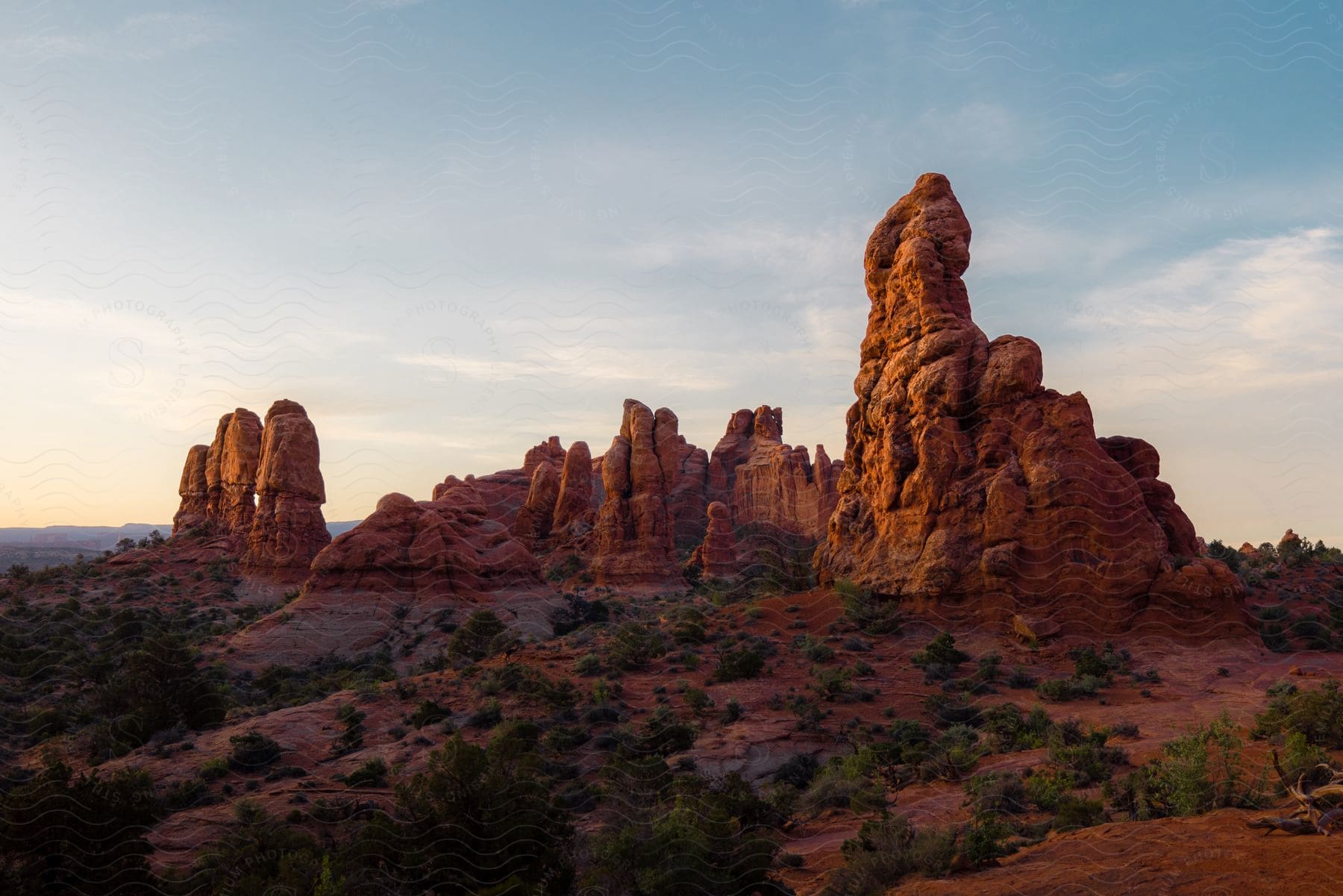 A serene mountain landscape with plants and rocks