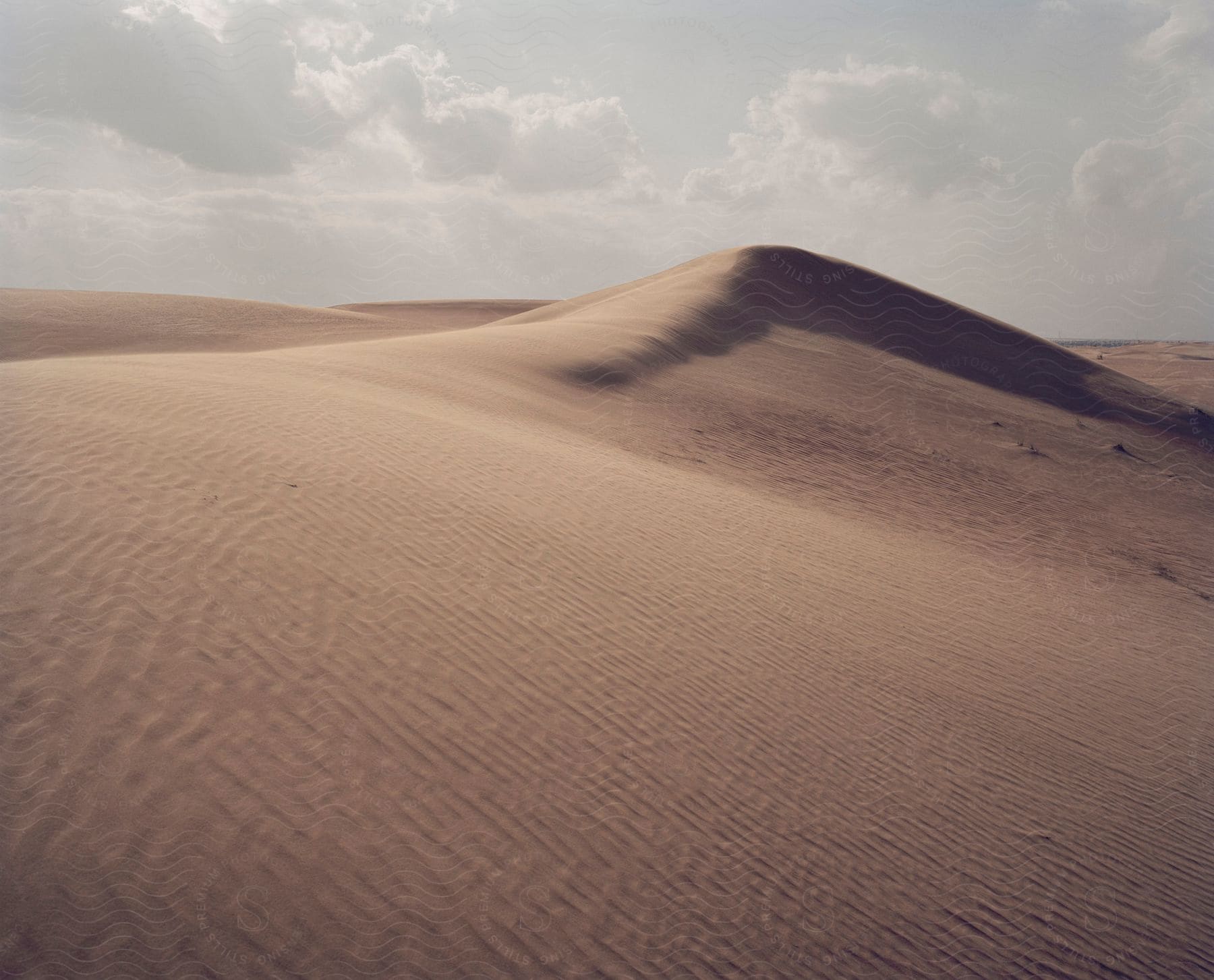 Landscape of sand dune in the desert