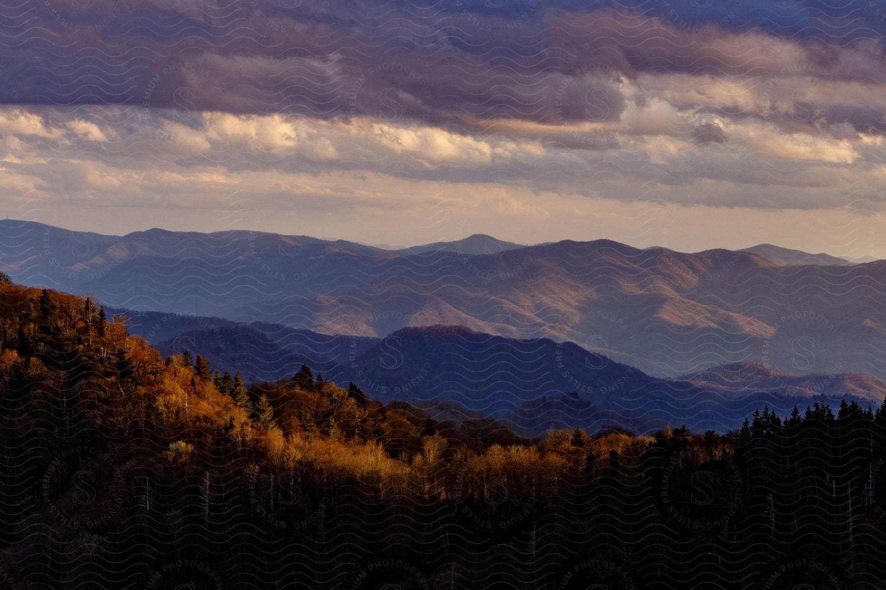 Forest landscape shaded by passing clouds with distant barren mountains