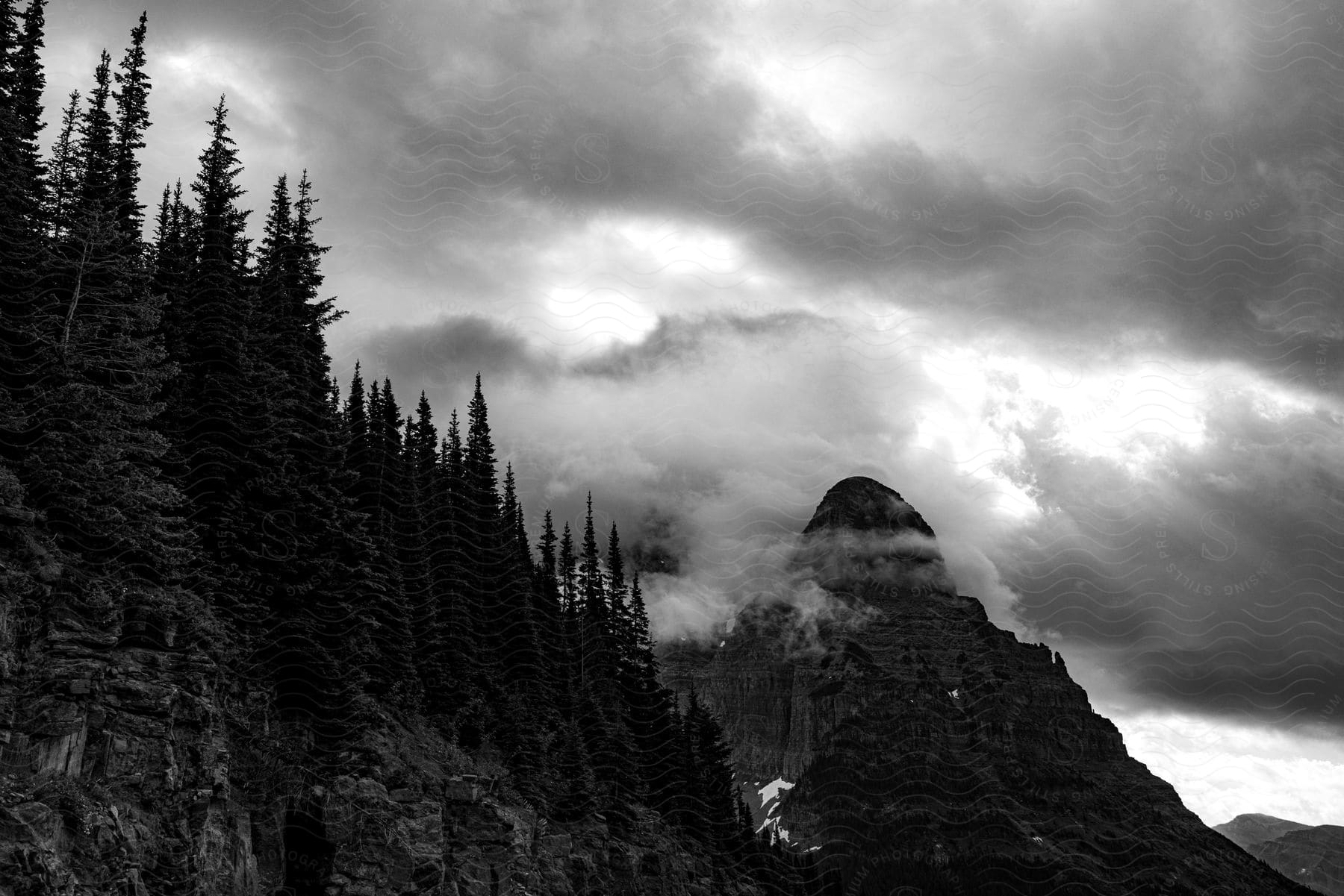 Black and white mountain peak with clouds surrounded by forest tree line