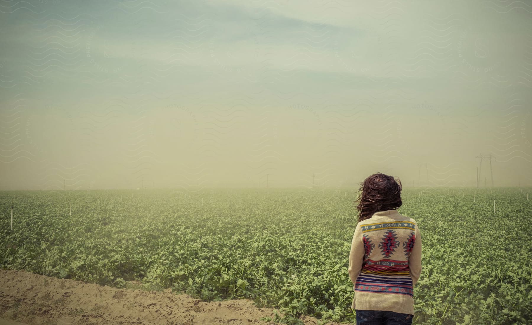 Woman standing in a plantation with a cloudy landscape