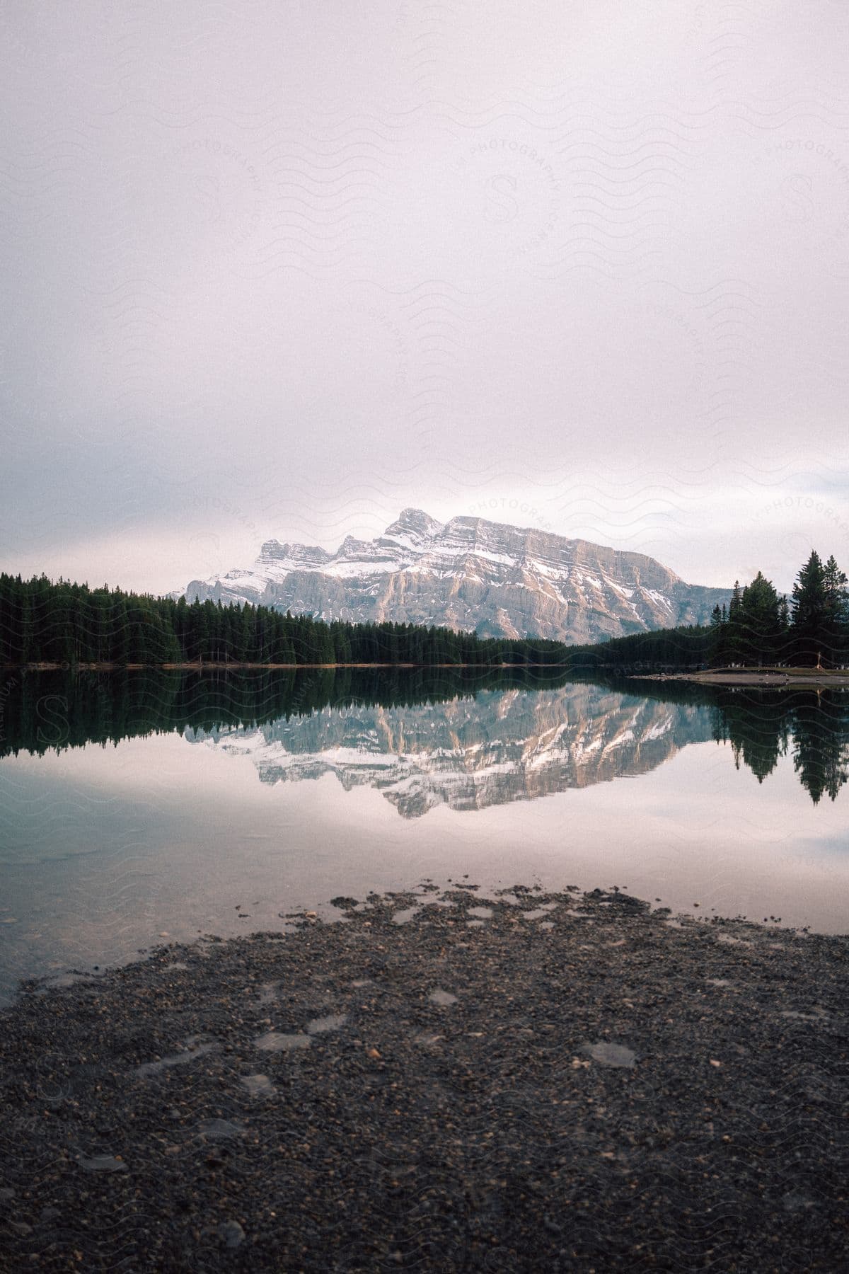 A river surrounded by trees with a distant mountain