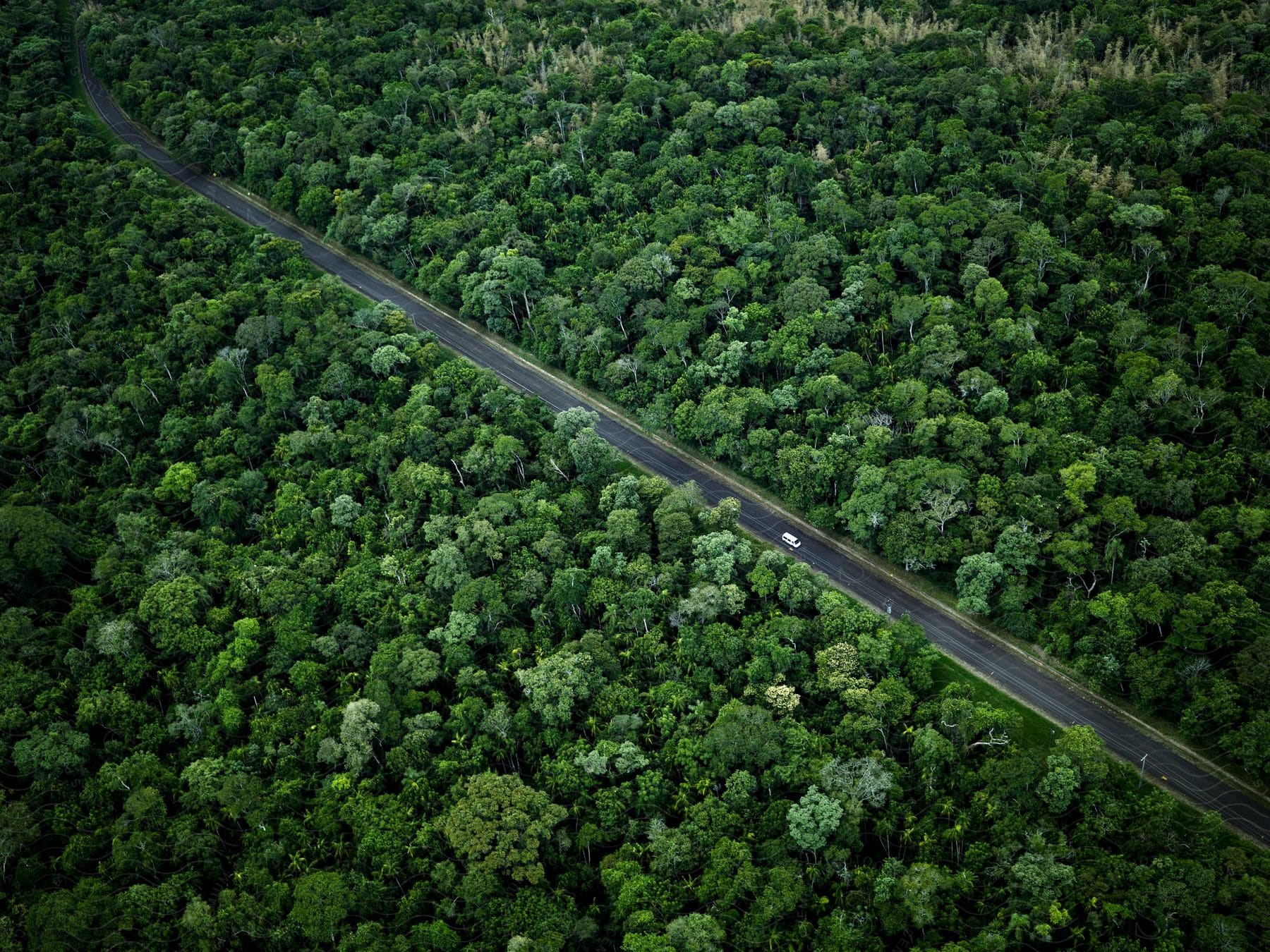 A van travels on a road through forest land