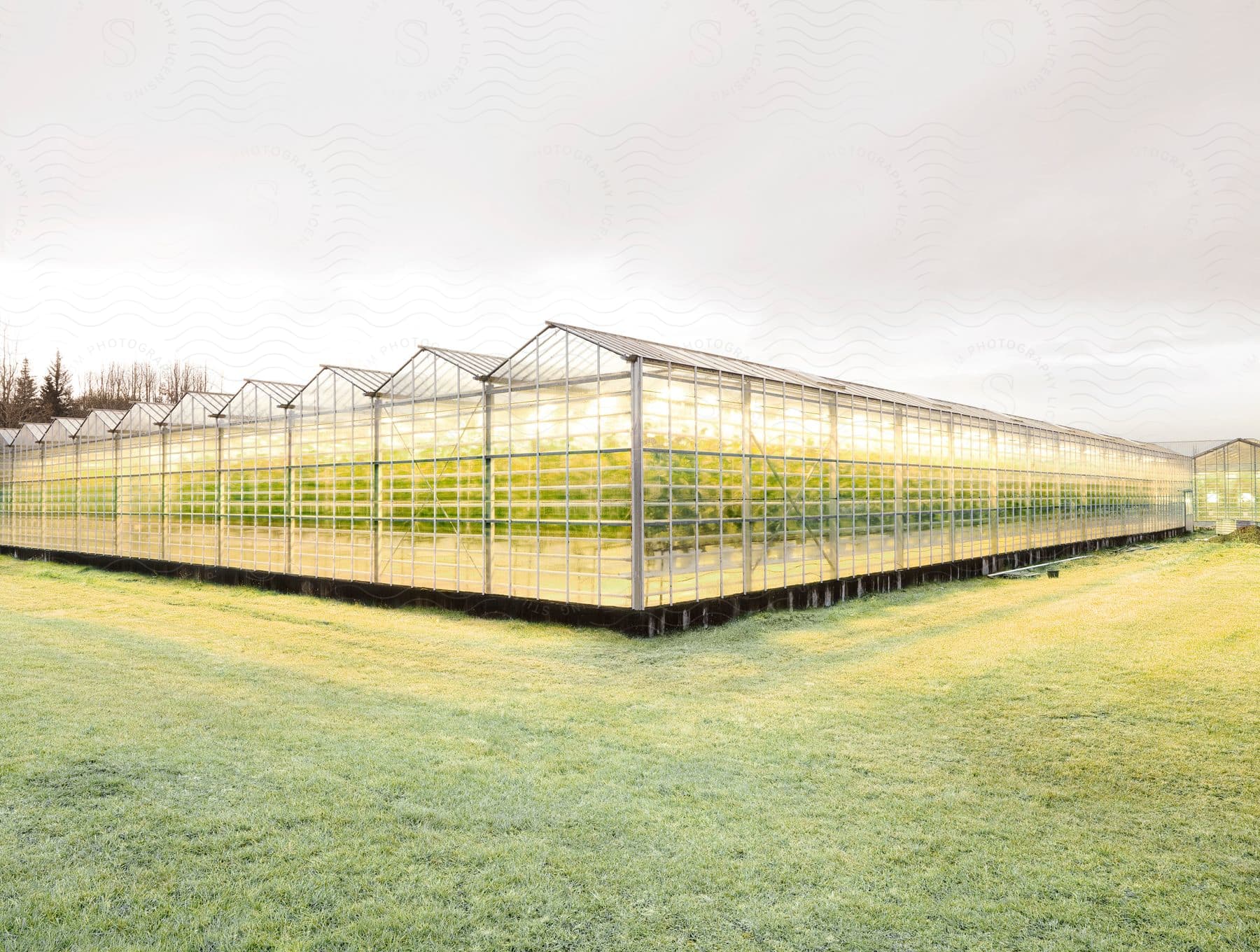 Agricultural scene with a greenhouse and plants under a cloudy sky