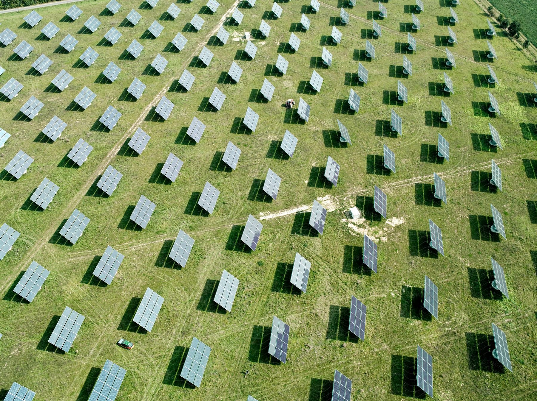 A field full of solar panels