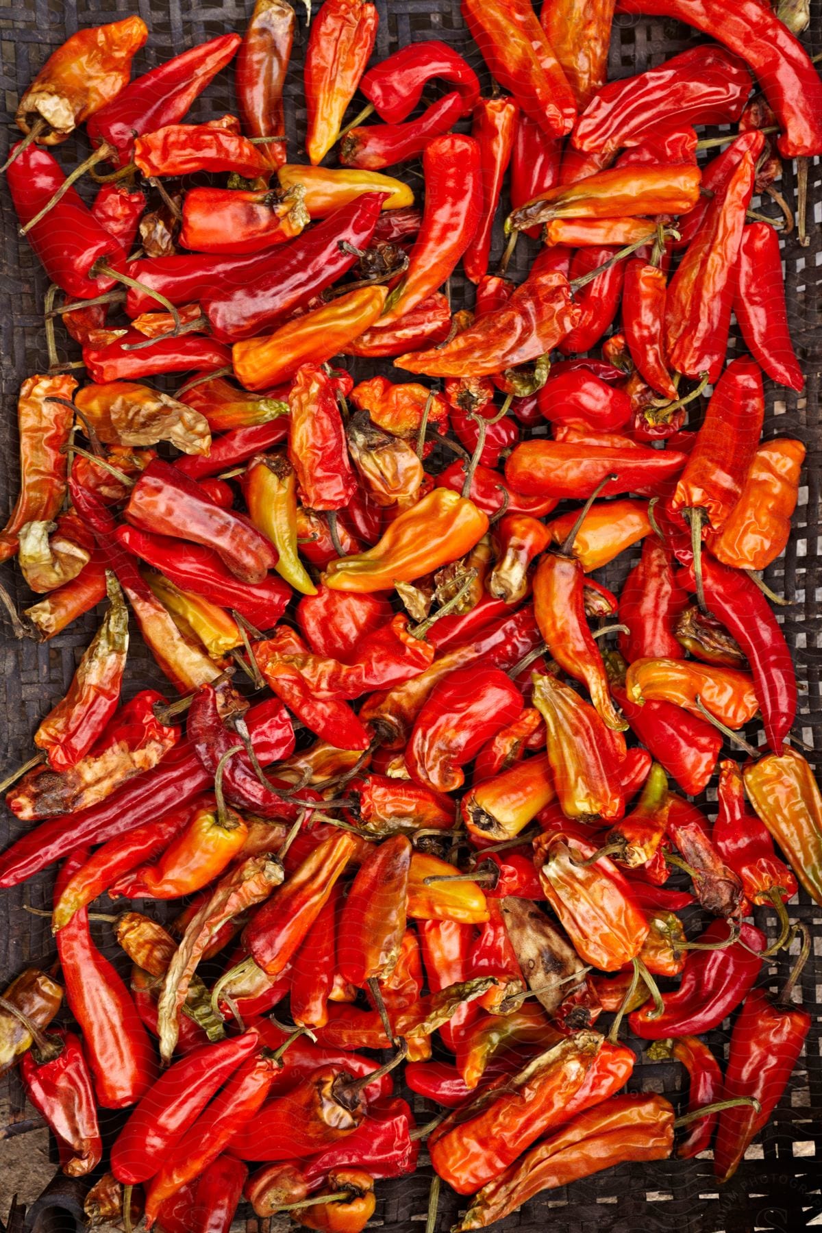 Stock photo of various cooked long peppers are seen