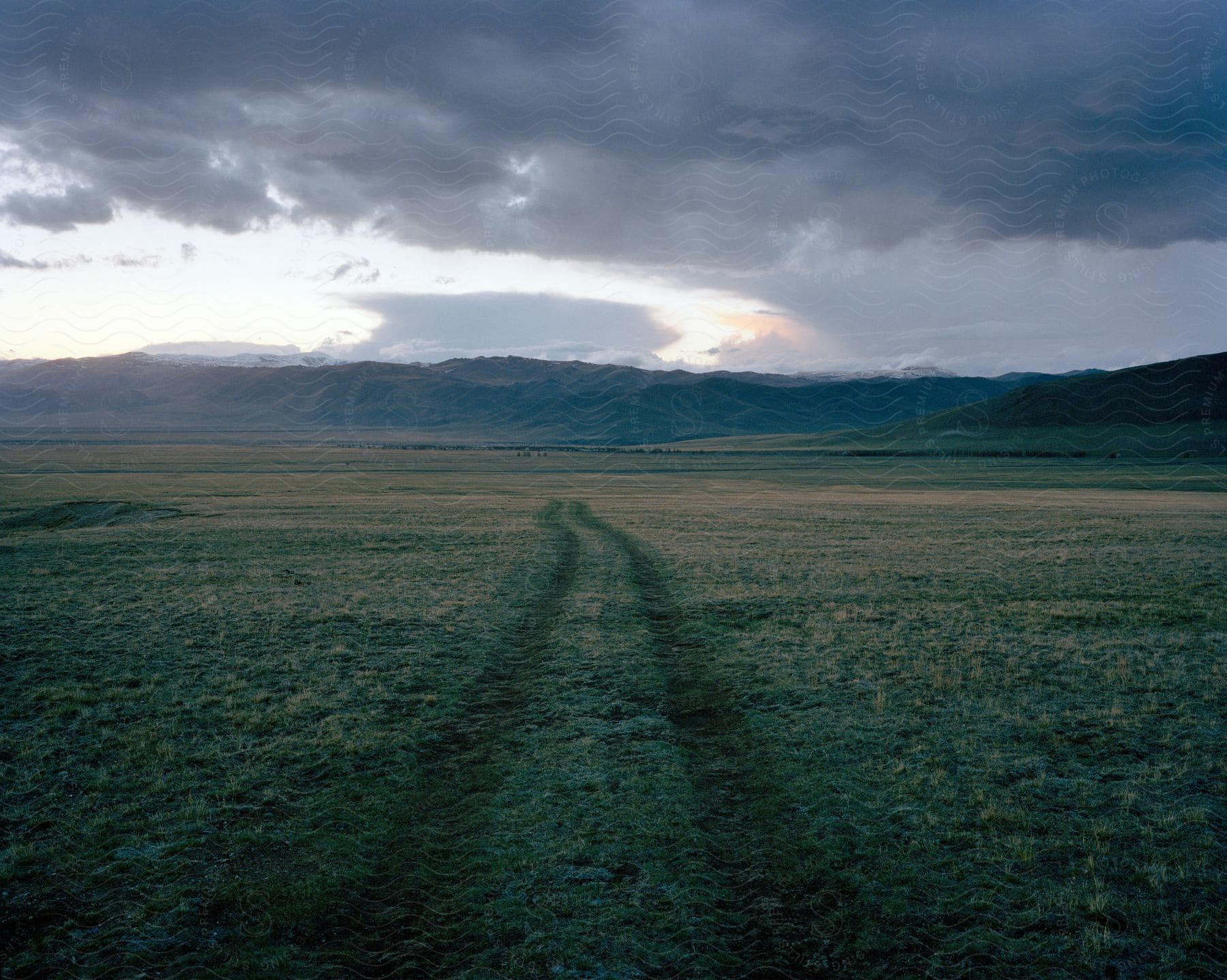 Tire tracks stretch across an open field with mountains in the distance under a cloudy sky