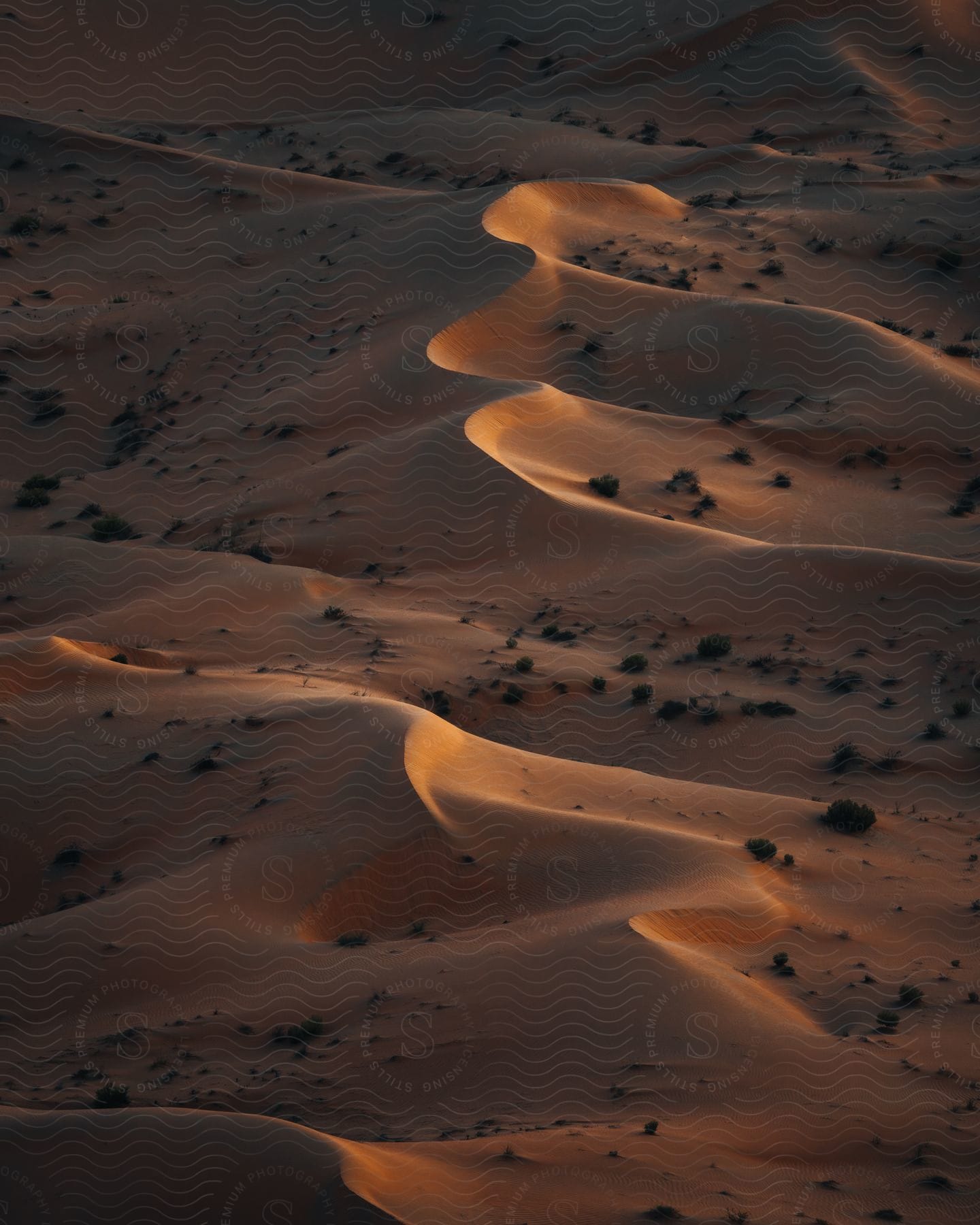 Aerial shot of sand dunes in the desert