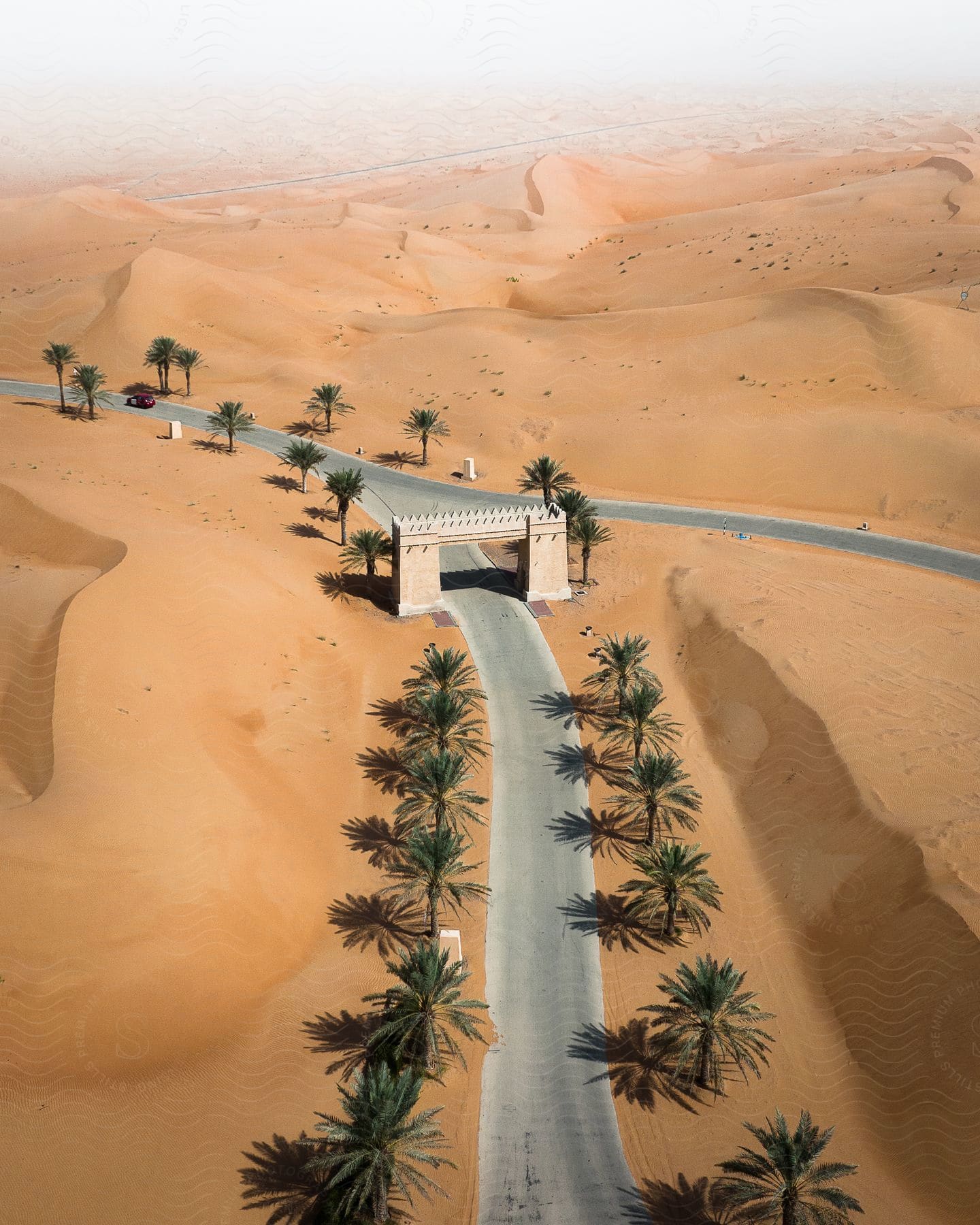 A road in the desert with a gate palm trees on one side and just the road on the other