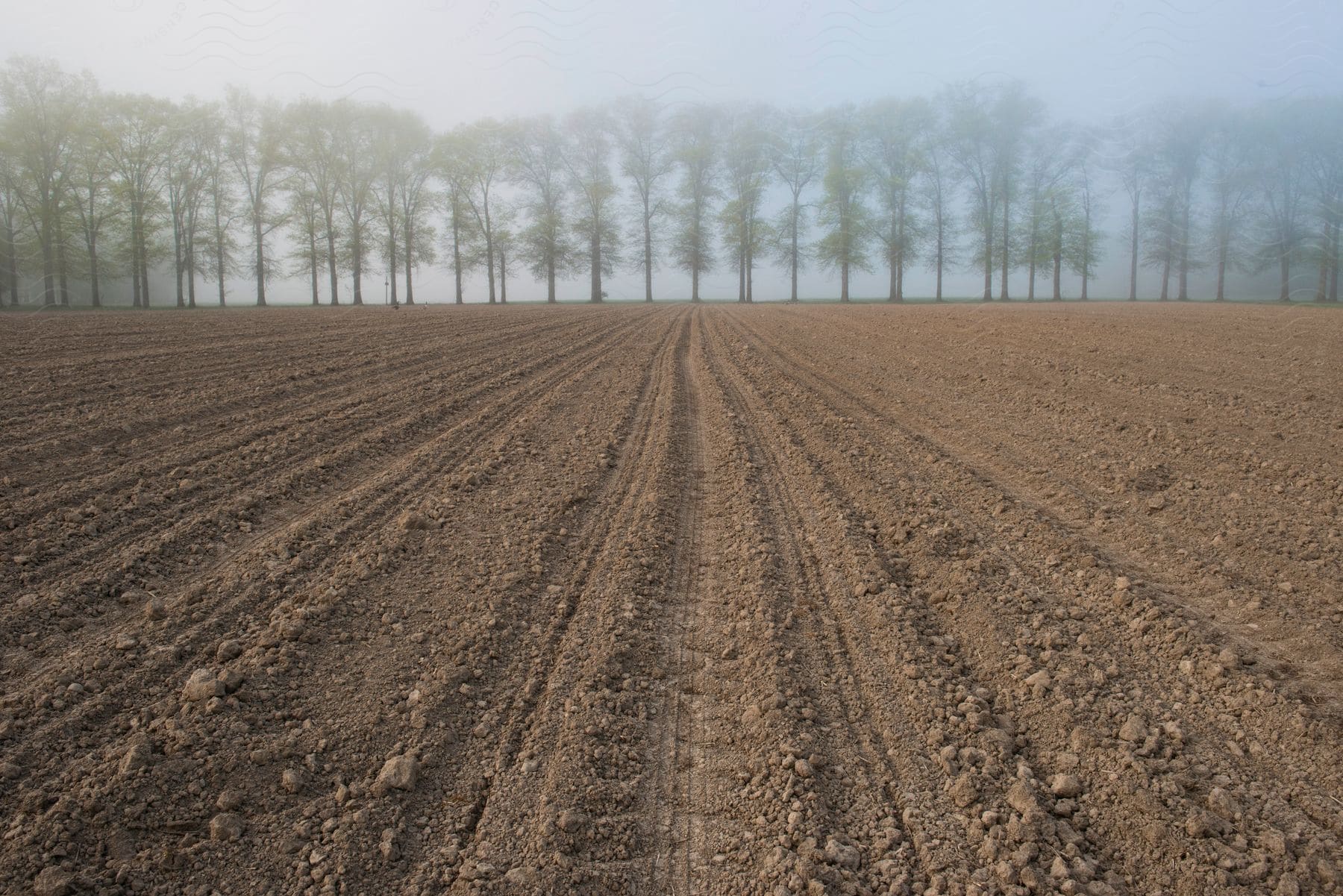 A Farm With Tilled Ground