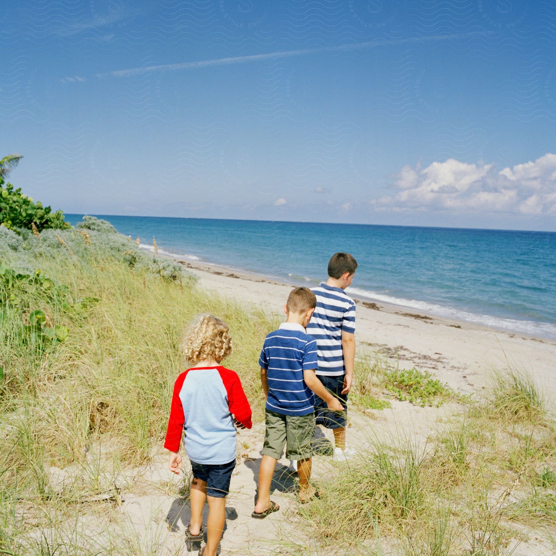 Three children walk through grass on the beach towards the water