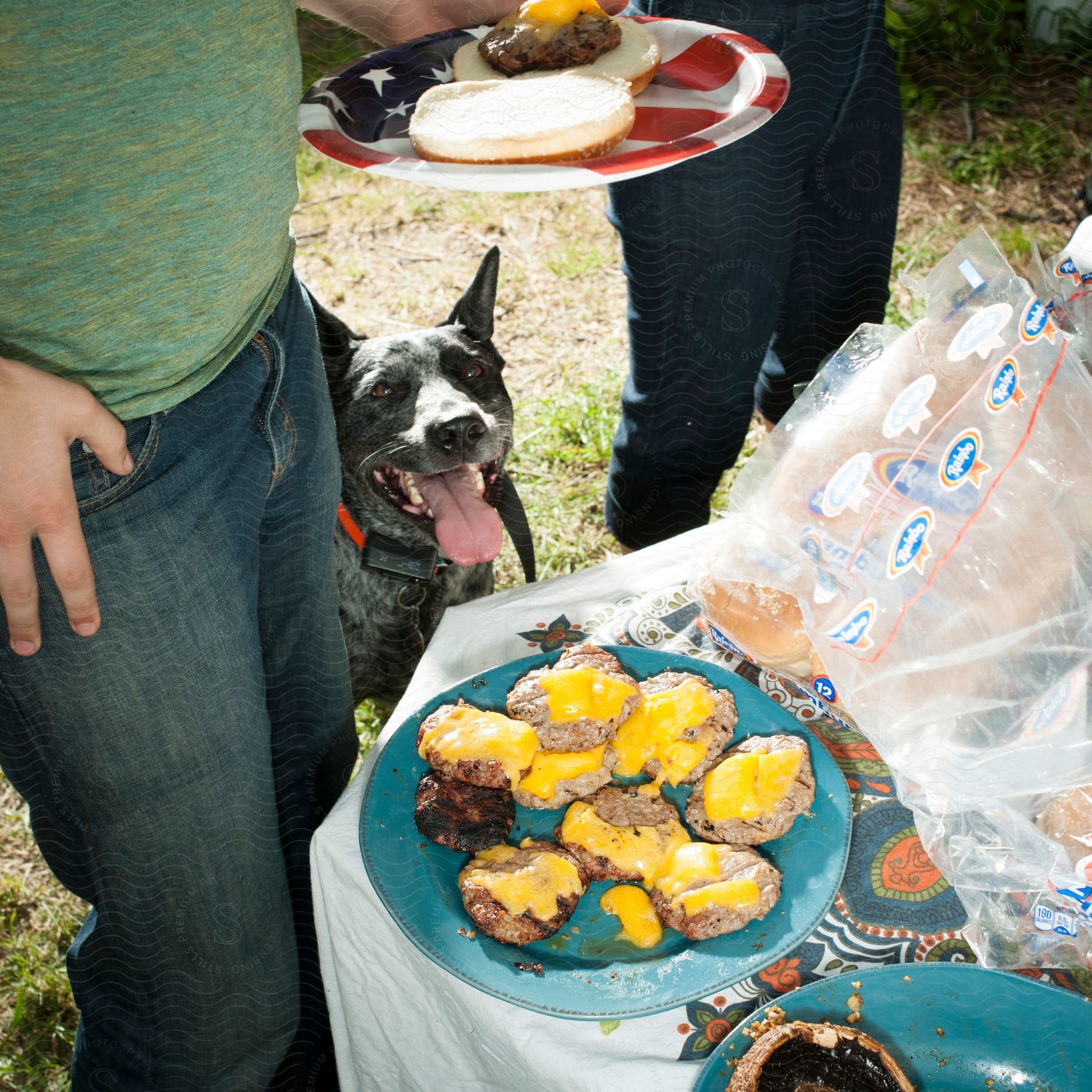 A dog looks up at the viewer from a table filled with food at a backyard gathering