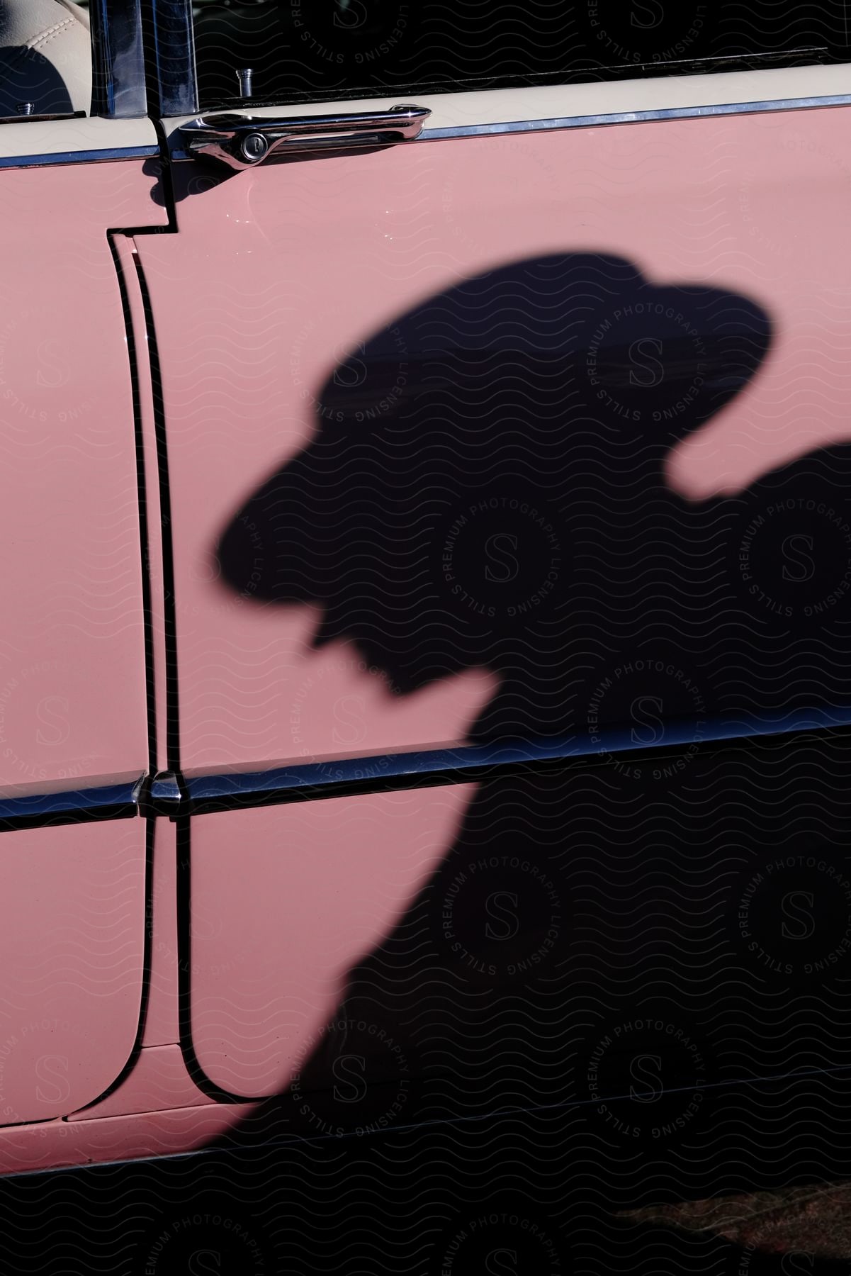 A man stands outside a car in an exterior setting during the day