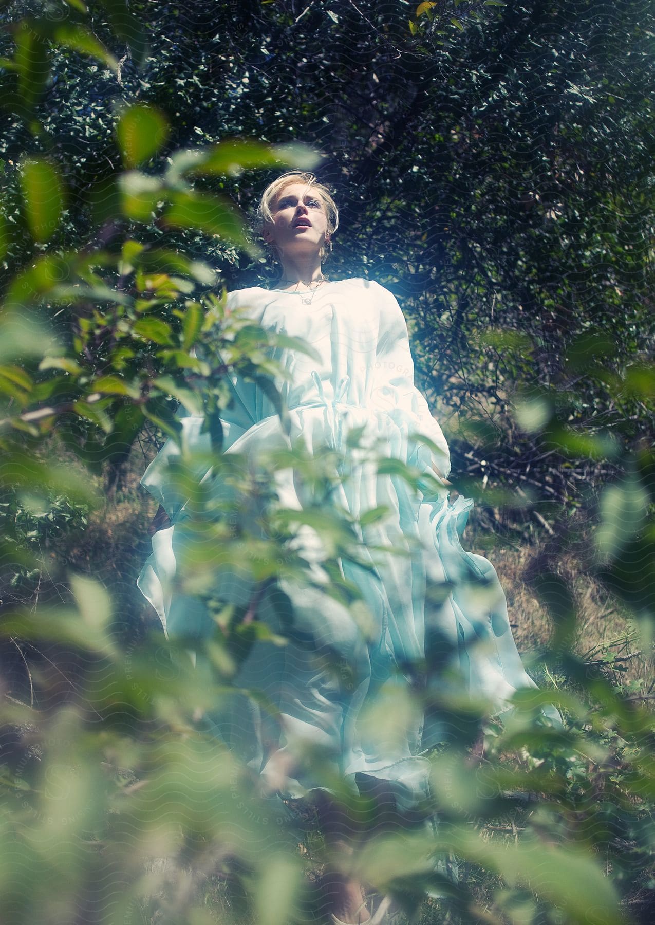 A young woman in a white dress stands among trees in nature