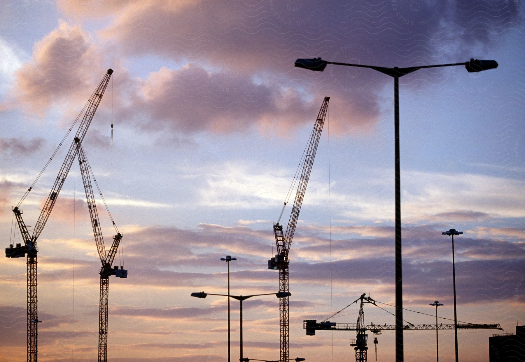 Construction cranes tower in the sky alongside street lamps