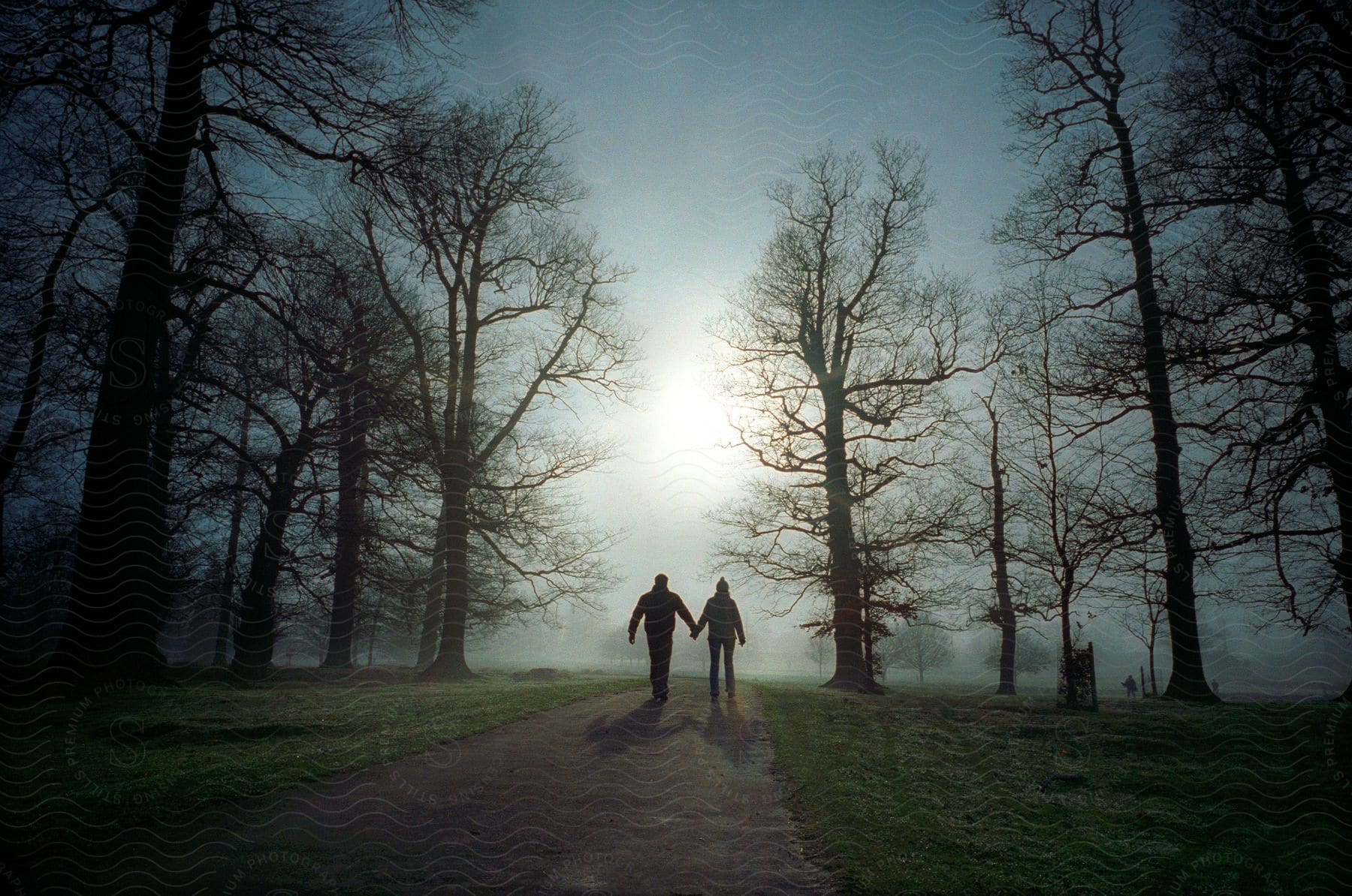 A couple walks hand in hand along a path in a leafless park on a cold day