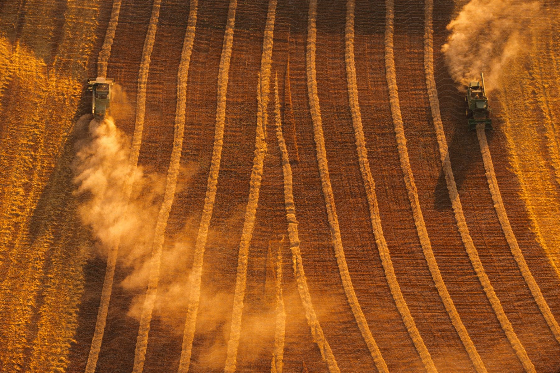 Tractors plant on farmland while kicking up dust at dusk