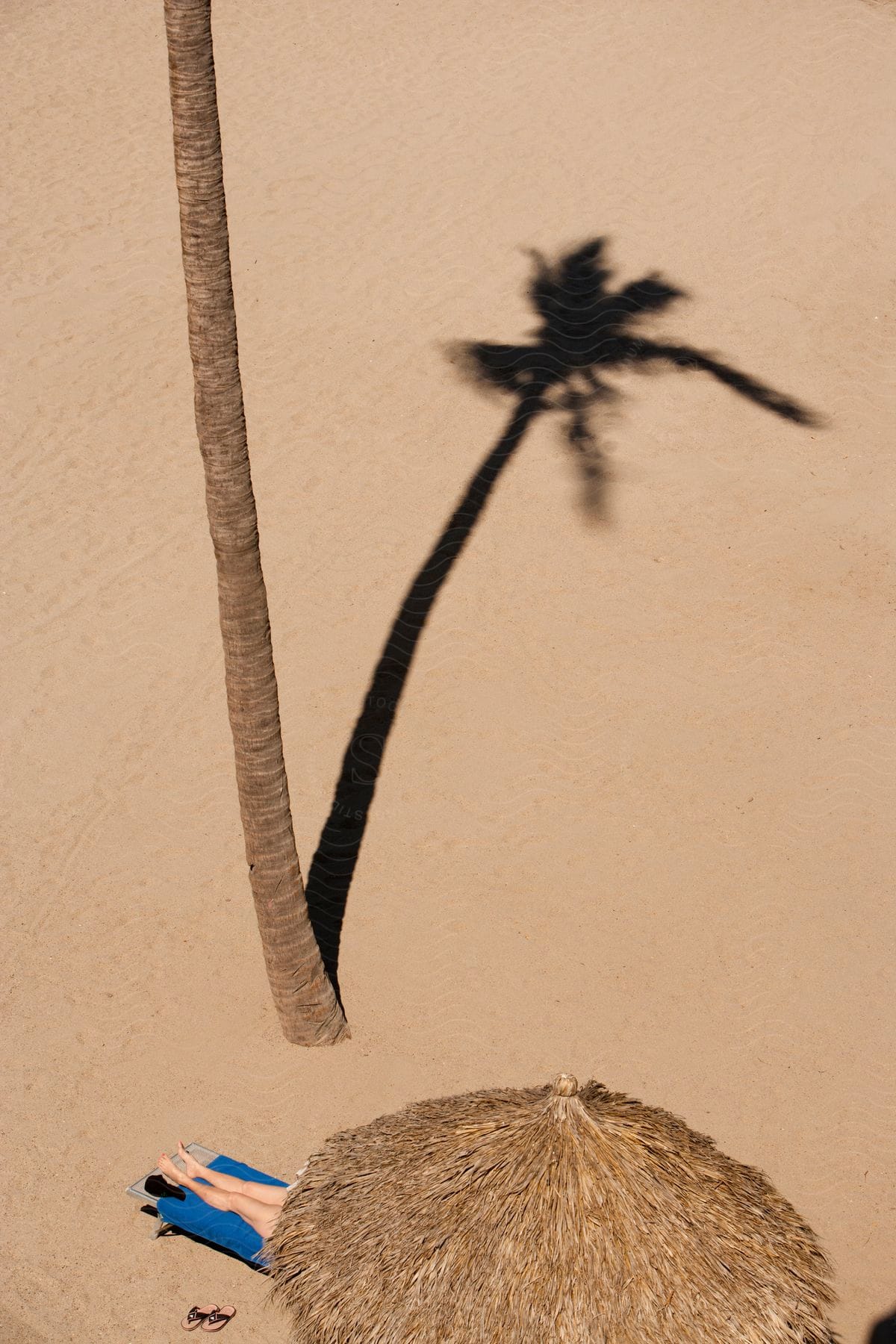 Woman lying on a sandy beach under a palm tree with a thatched umbrella on a sunny day