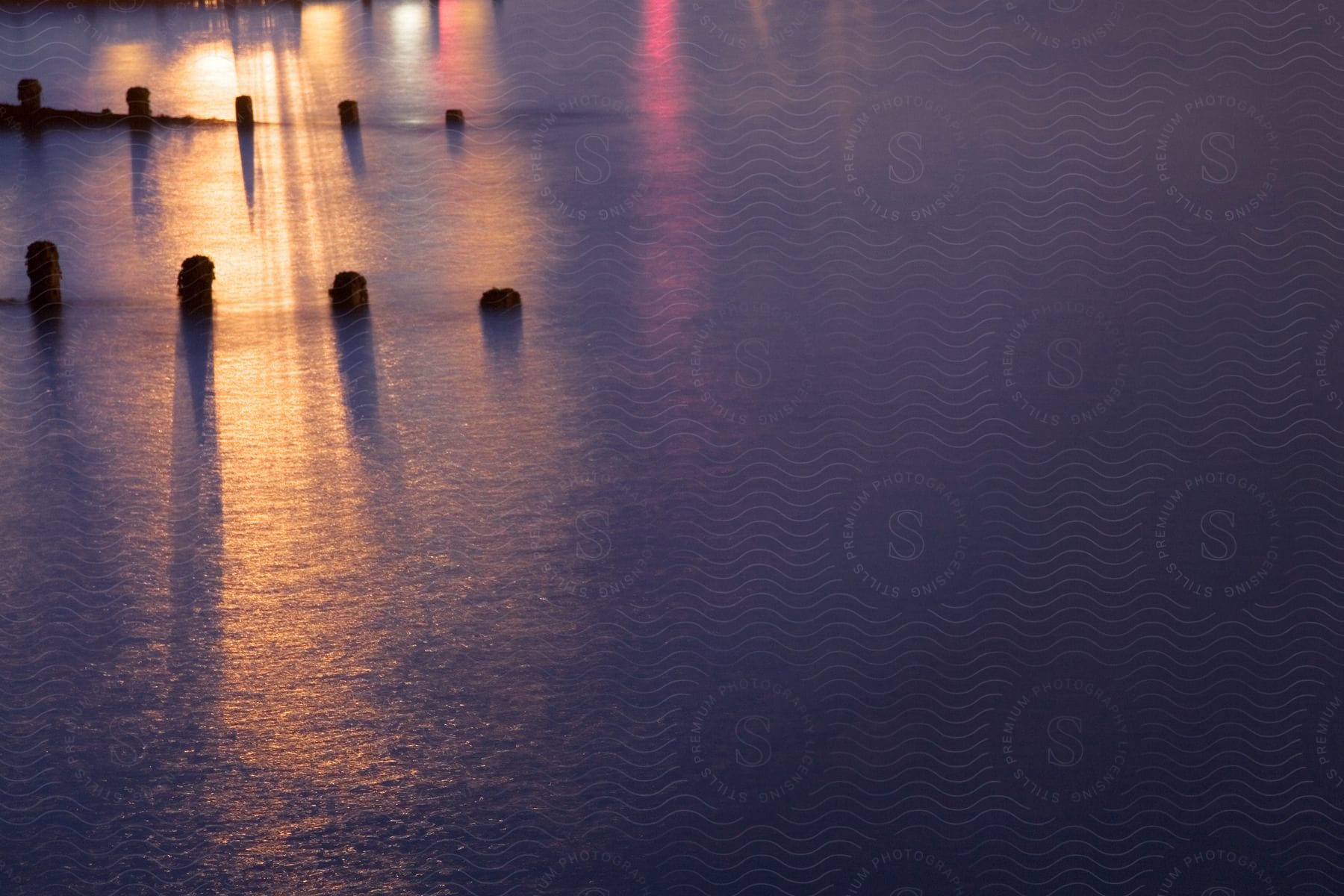 Submerged posts of a pier near the coast