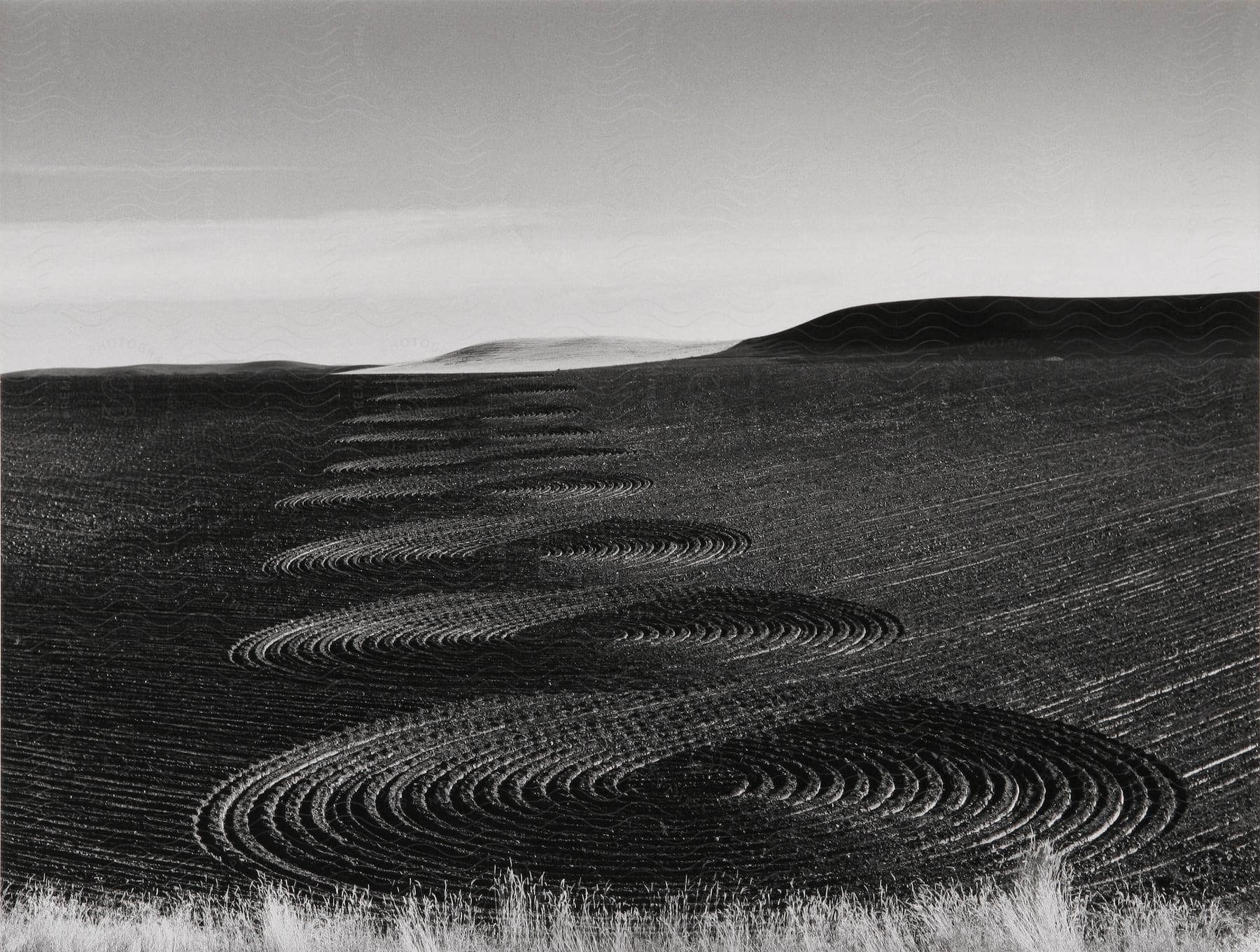 A series of circular patterns in a cultivated field