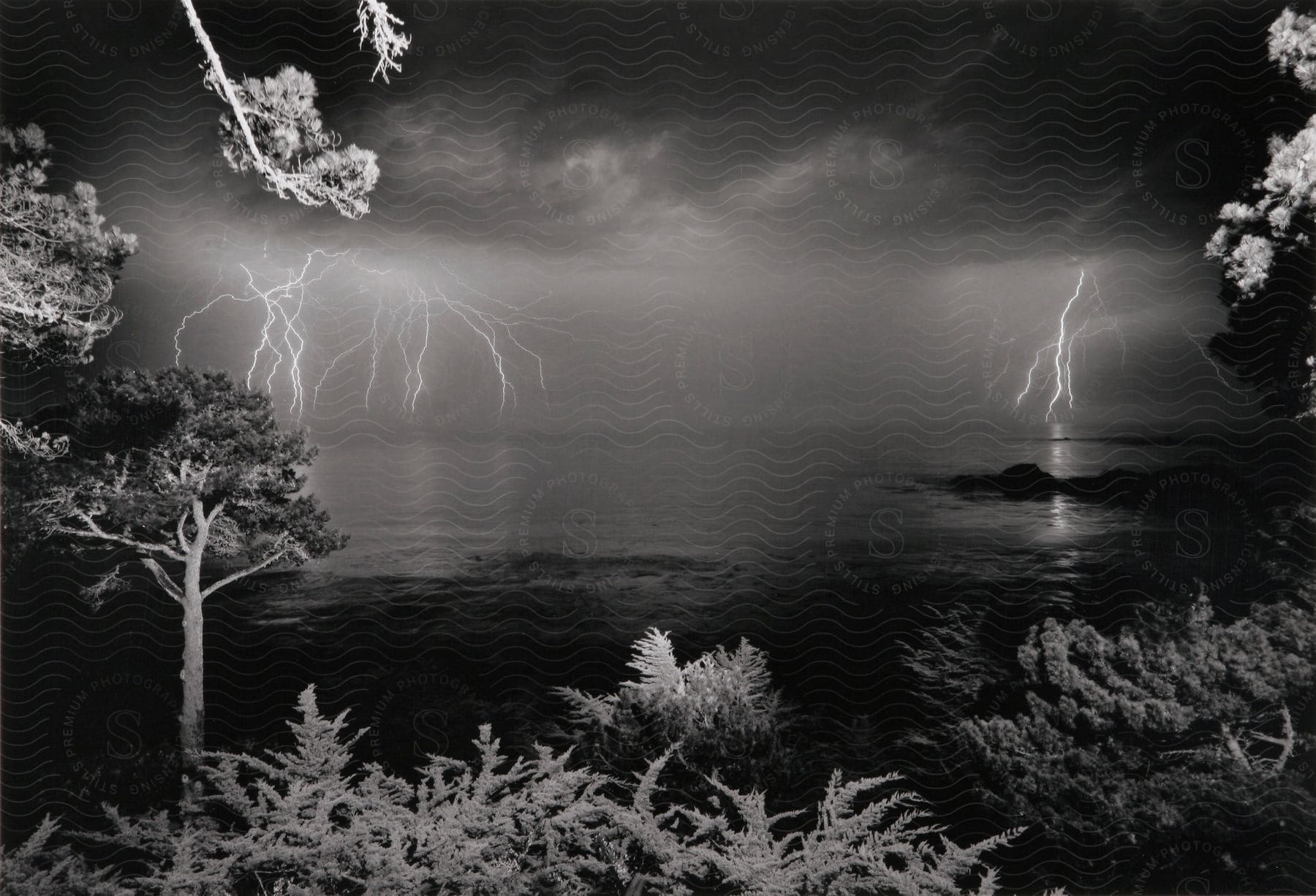 Several lightning bolts illuminate the night sky above the ocean shore