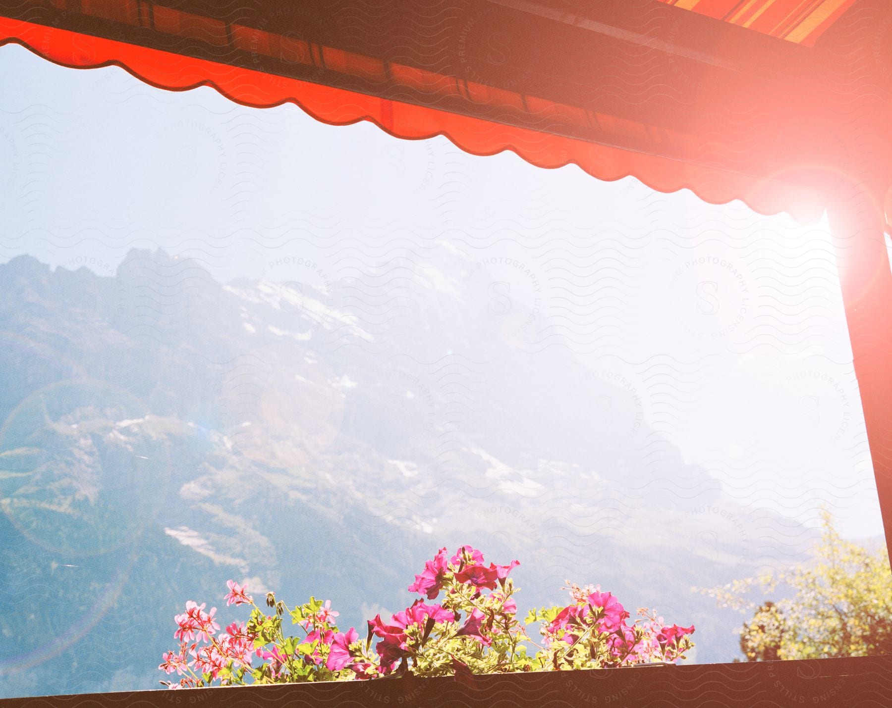 A sunny day in a mountainous landscape with flowers and a restaurant roof