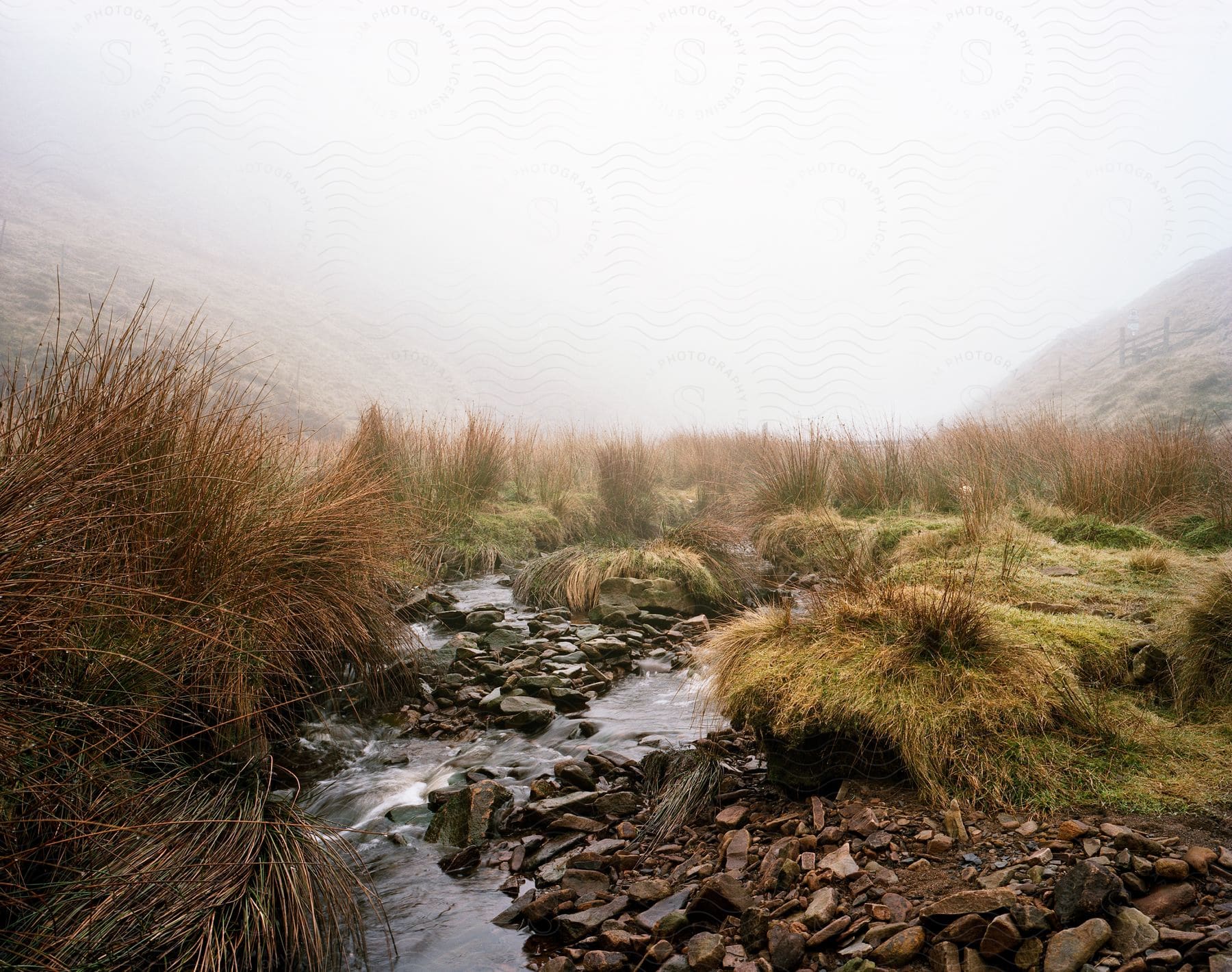 A creek flowing through a foggy marsh