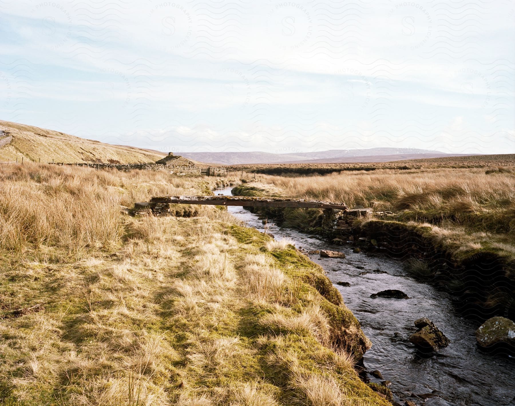 A serene natural landscape with a creek flowing through a wilderness