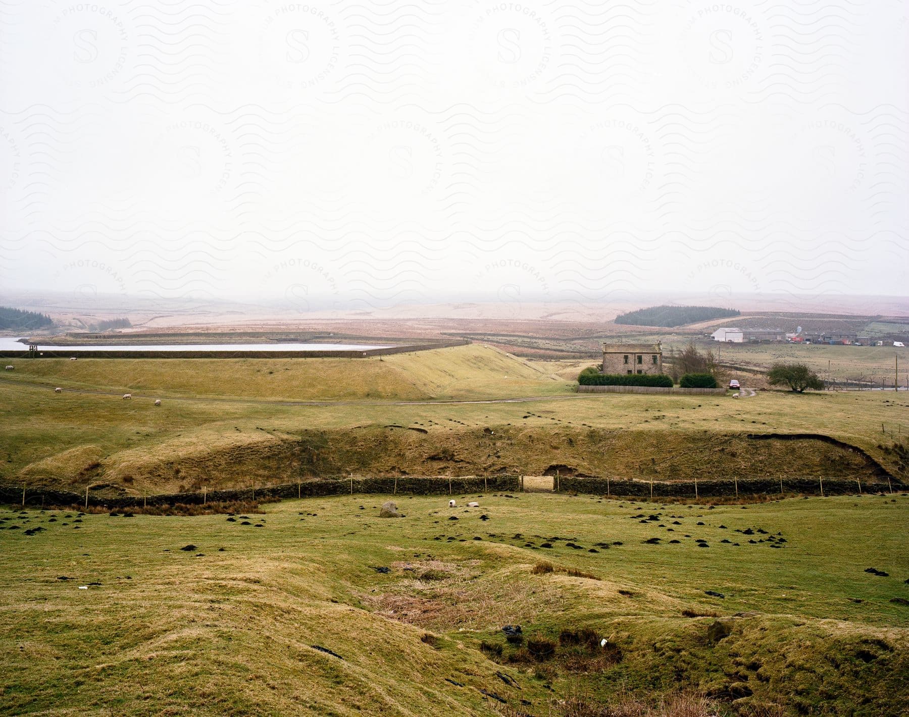 Sheep graze in a pasture with farm buildings and a reservoir in the distance