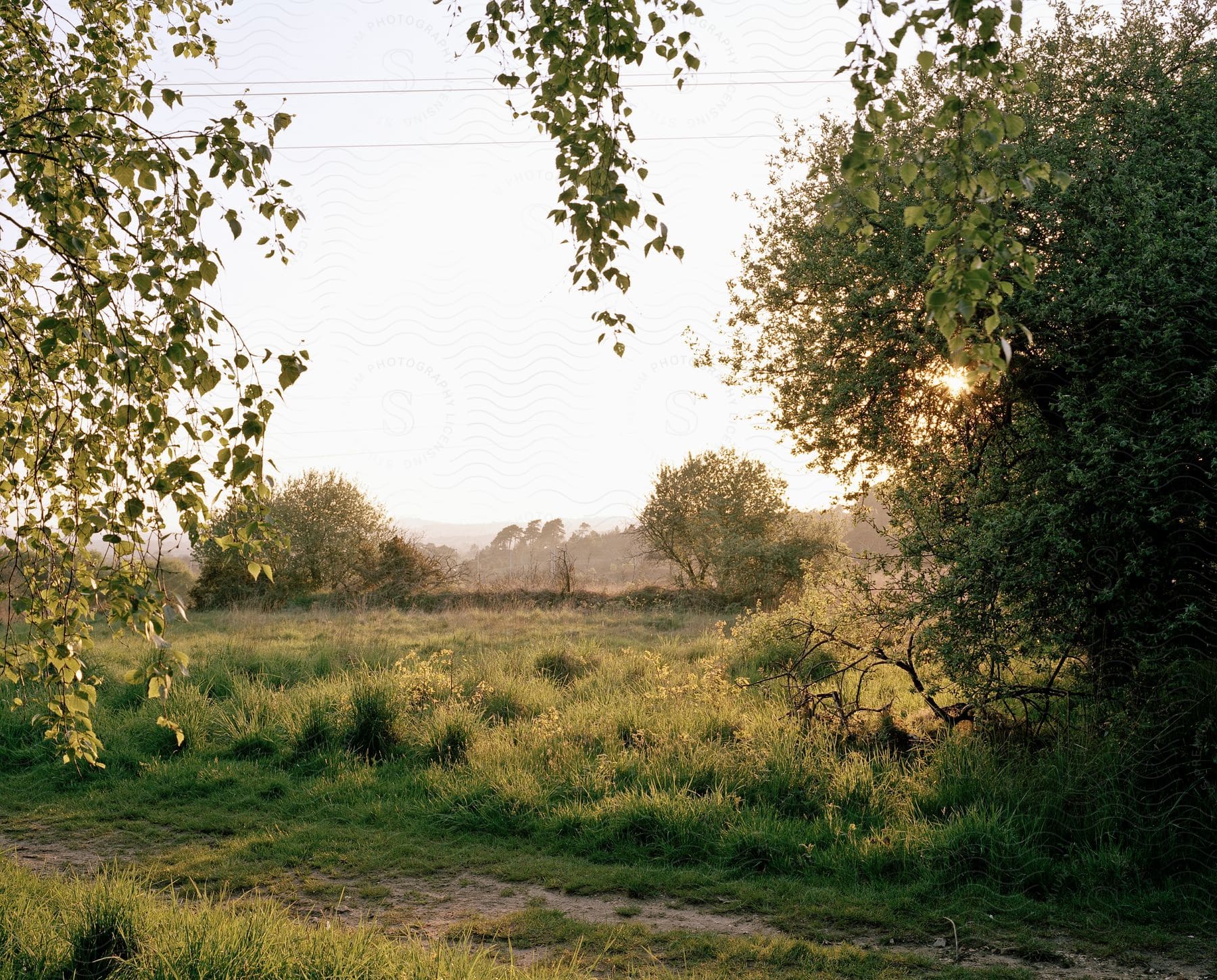 The sun shines down on a wooded rural landscape