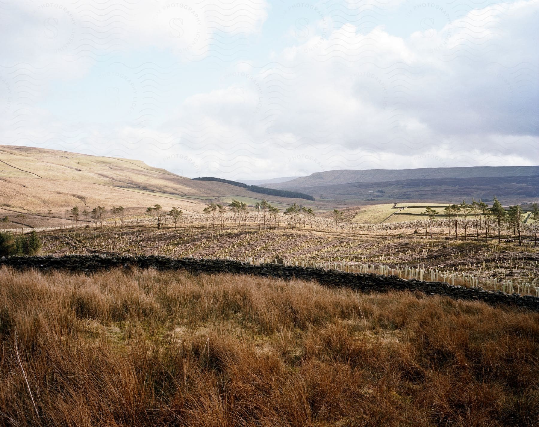 Rolling hills of brown grass and farm plots on an etruscan farm land with low stacked rock walls and a farmhouse in the distance