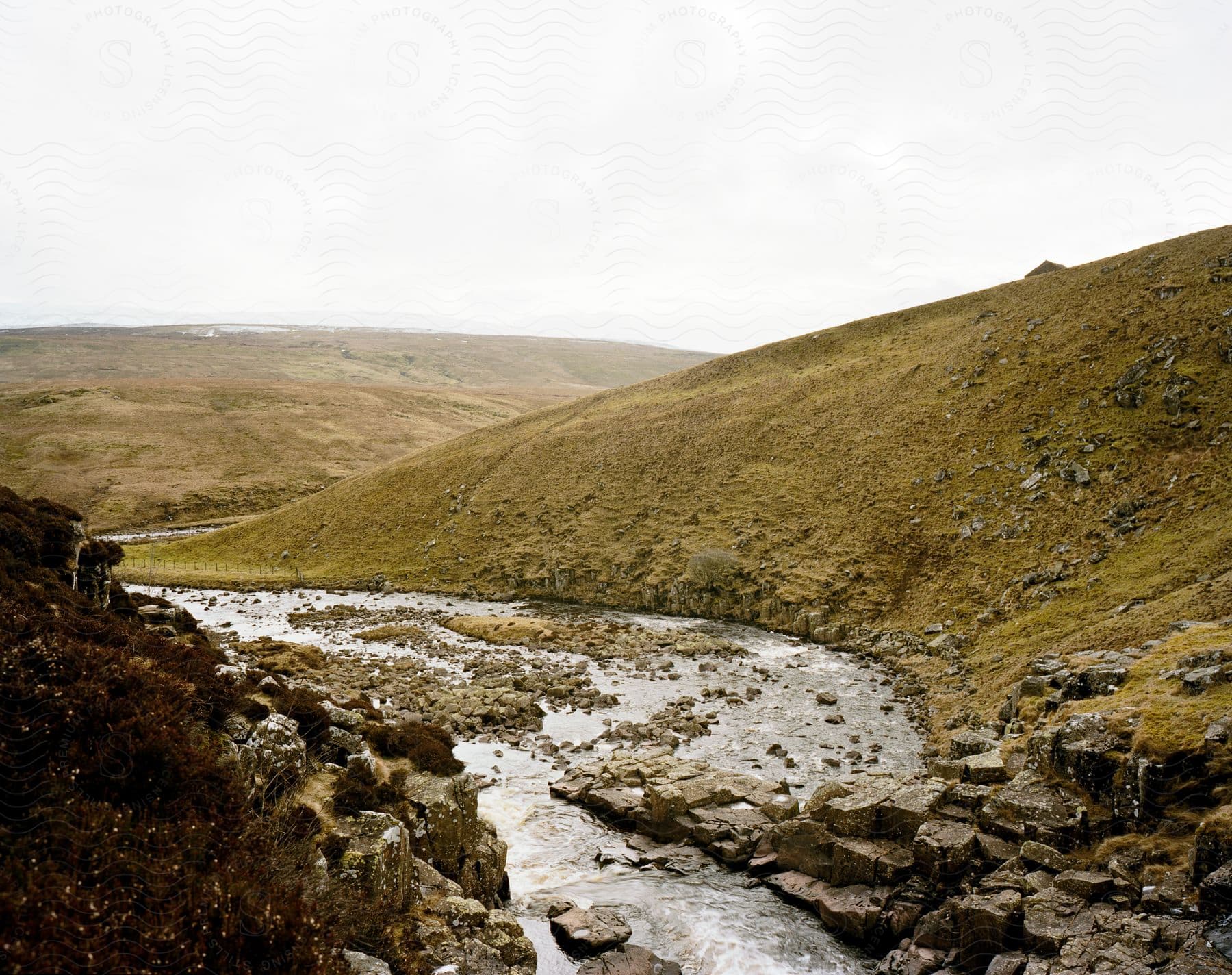 A serene natural landscape with mountains slopes and plants accompanied by a flowing creek