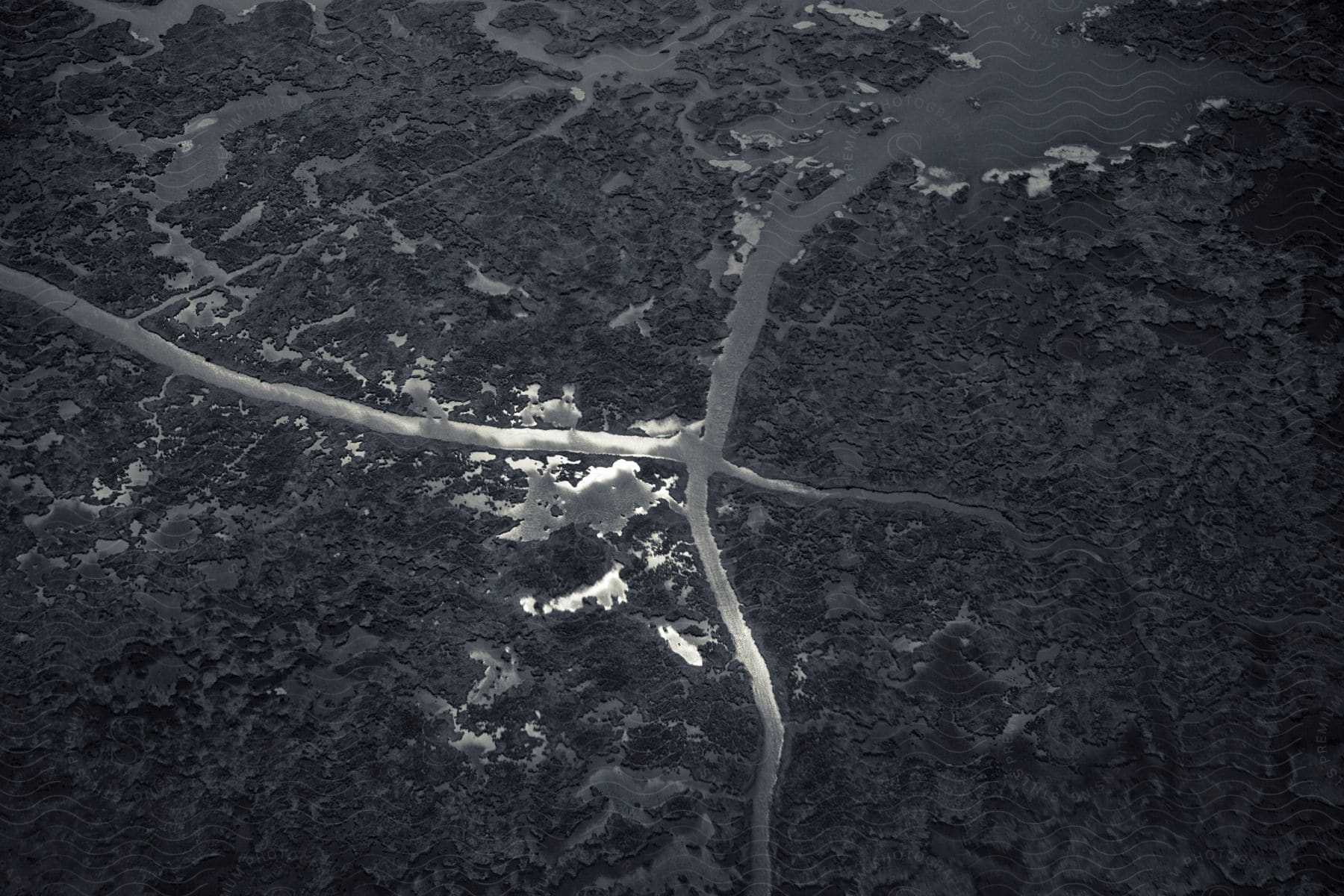 Waterways intersect in rough terrain near the coast