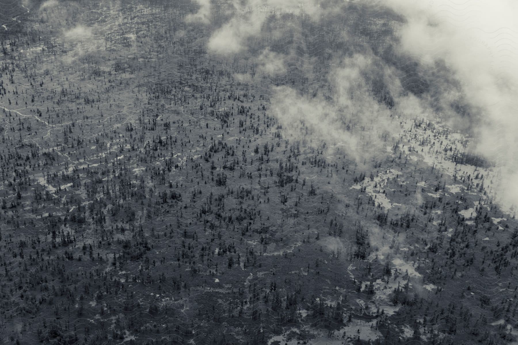 A black and white image of a land with grasses and smoke on the right side