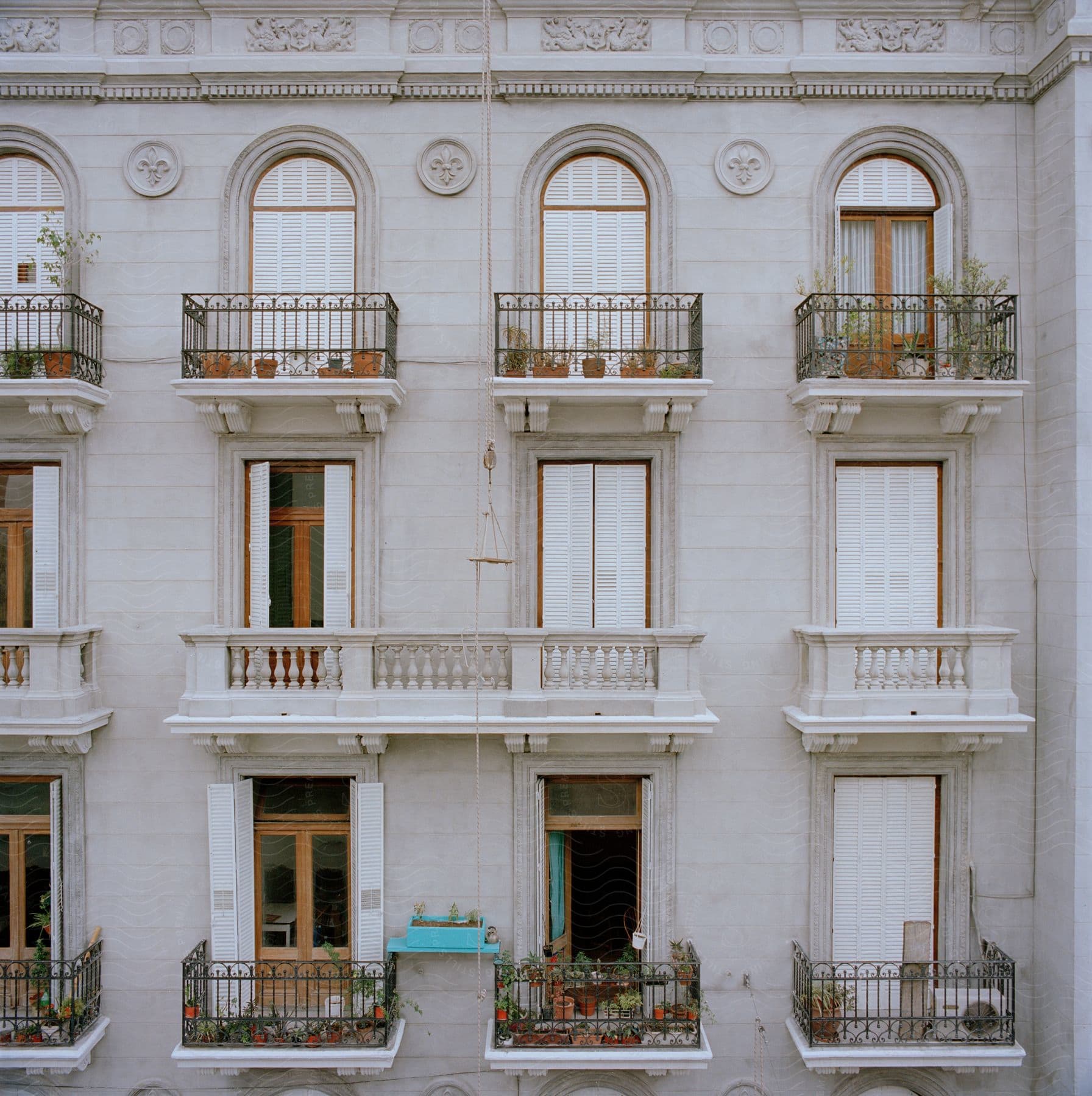 Nine windows and balconies of a classically designed building