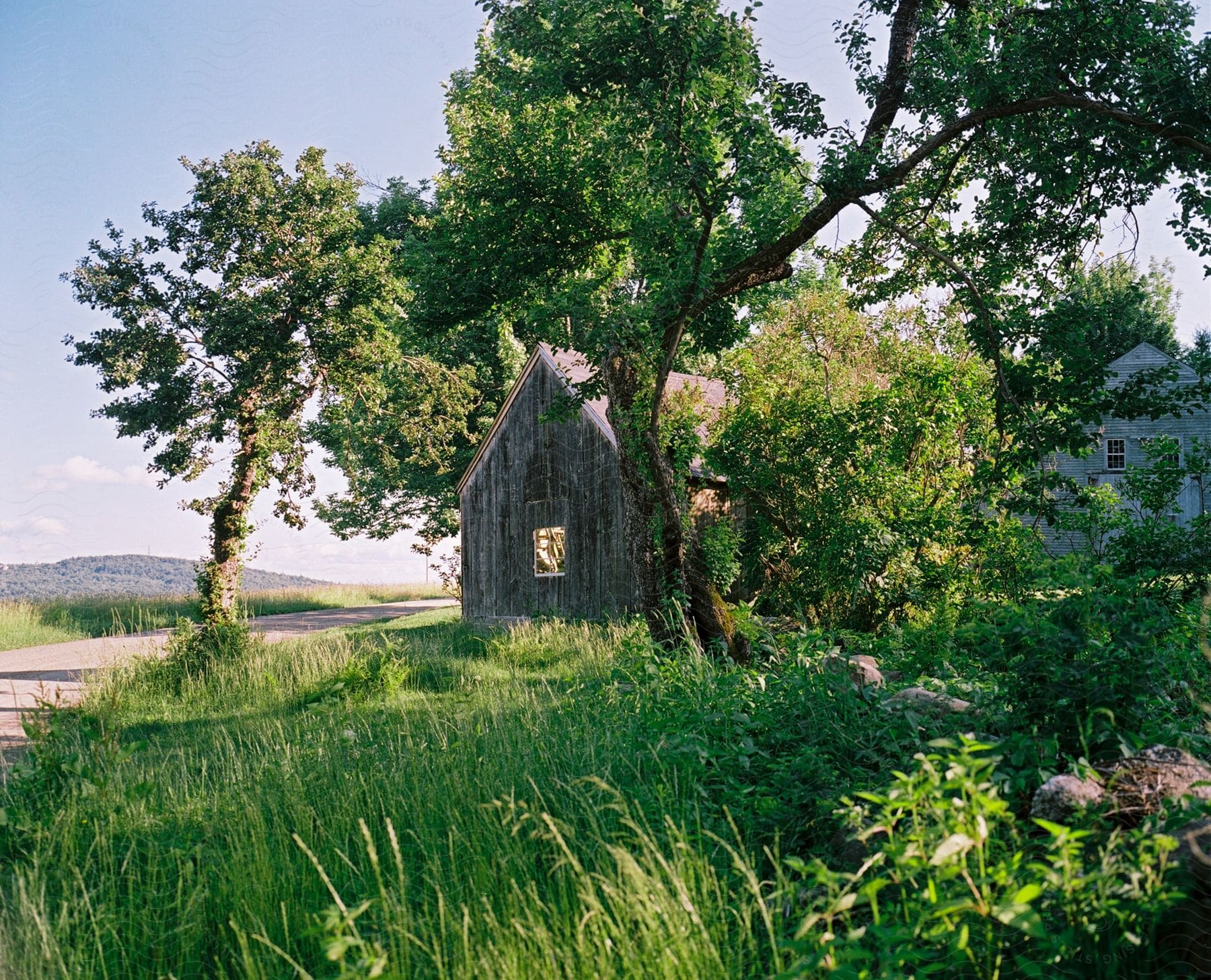 A small cabin surrounded by tall trees in a rural setting