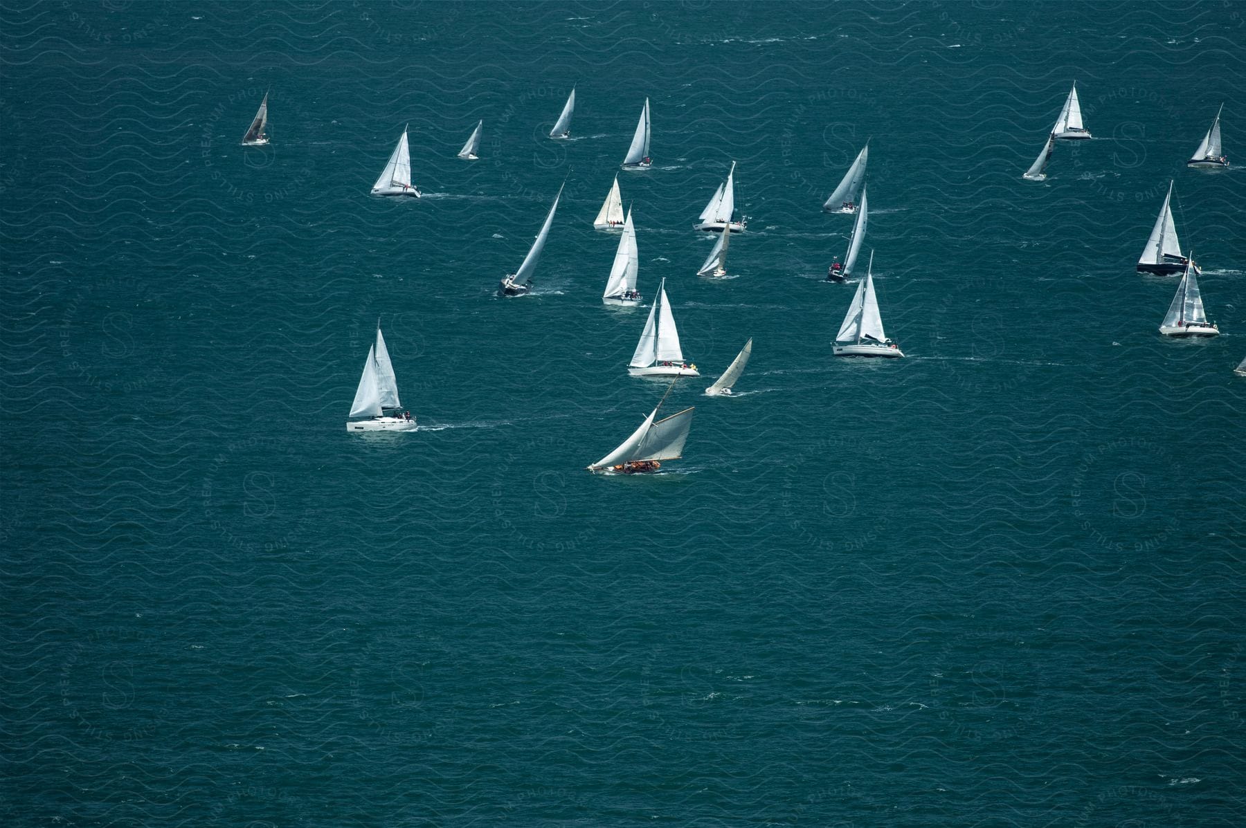 Many sailboats sail in open water