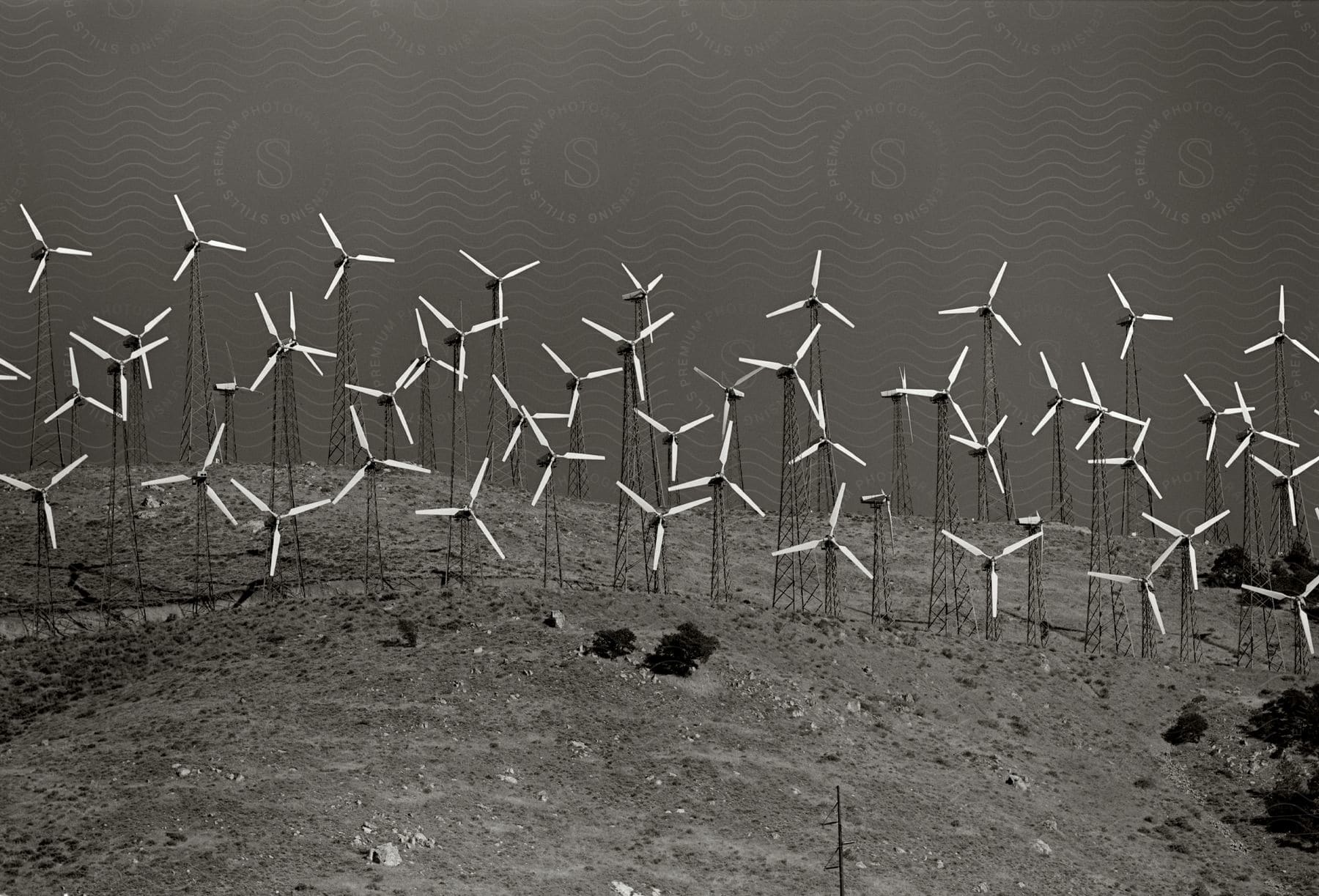 Numerous wind turbines in a field under a night sky