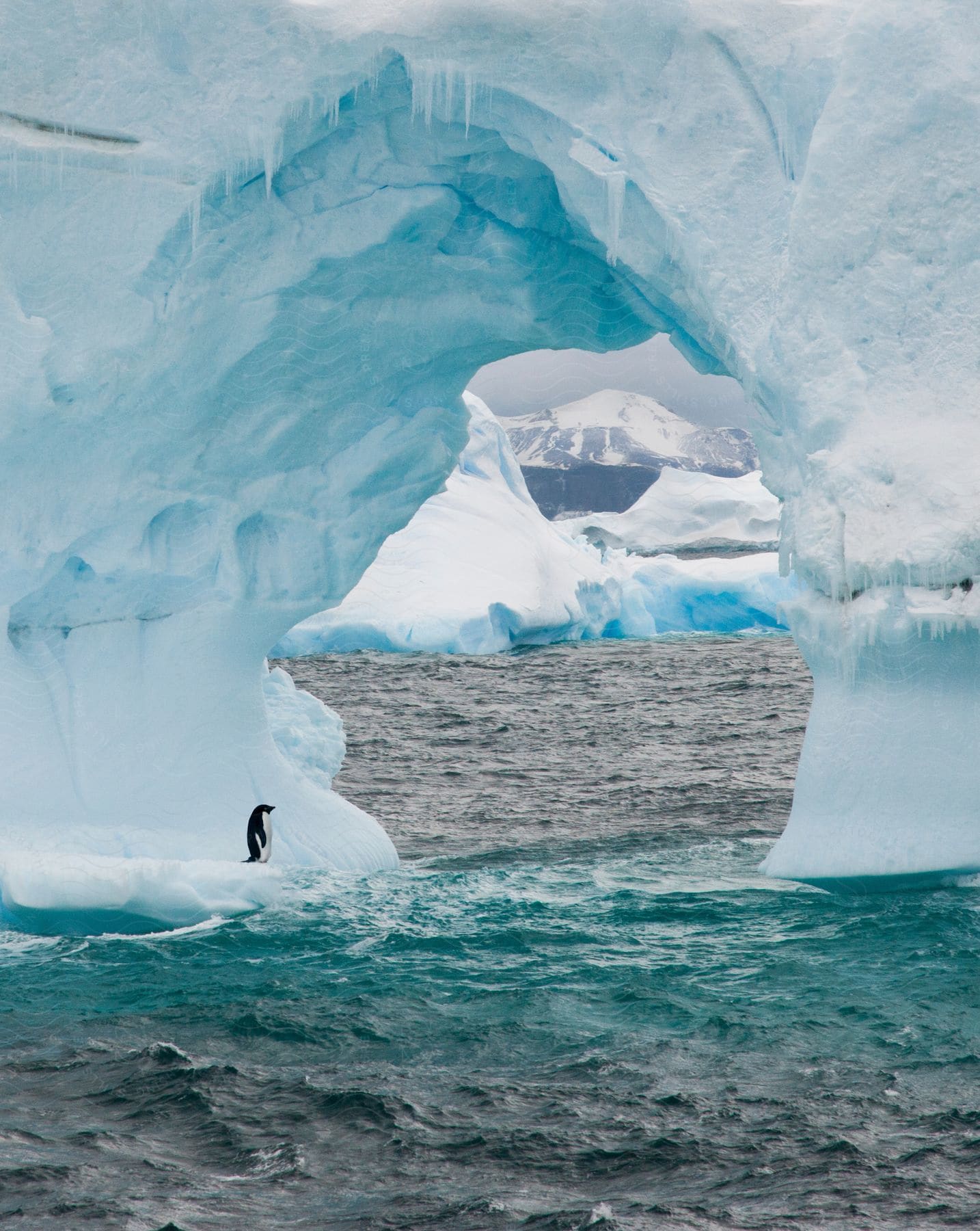 A penguin standing on an iceberg with an arch in the arctic sea