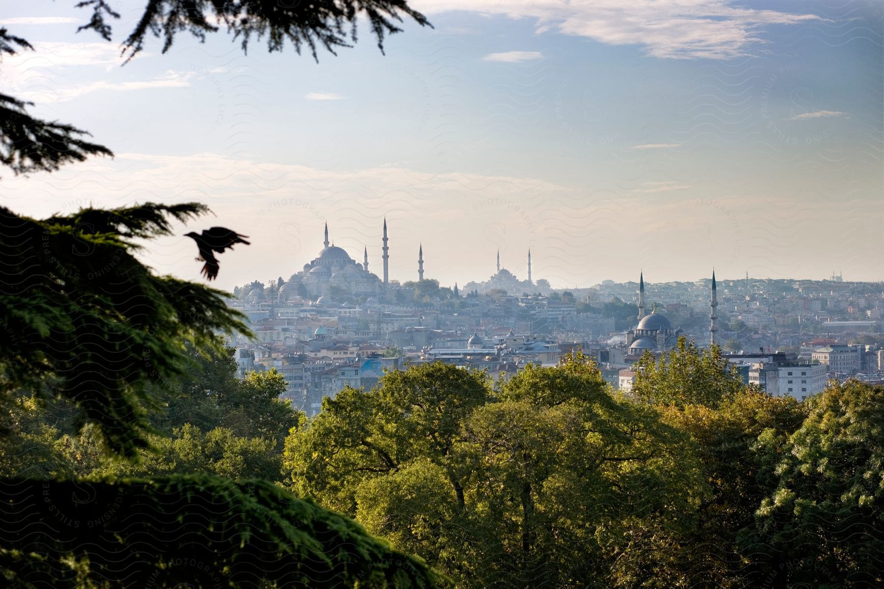 A cityscape of istanbul with a grand mosque palace in the center surrounded by green tree tops