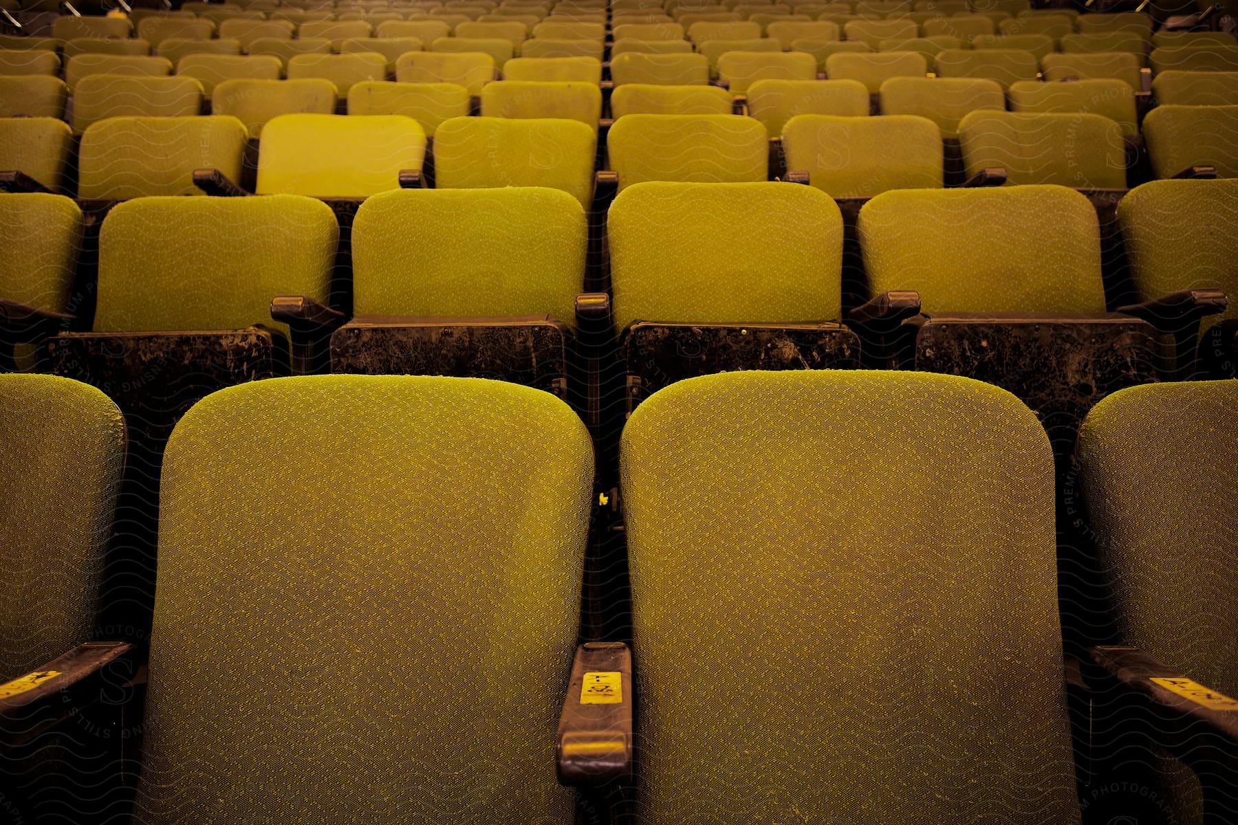 Multiple yellow chairs are close together in a room