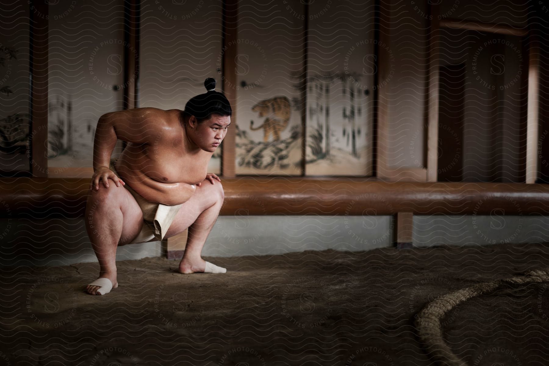 A Midadult Japanese Man In A Jockstrap Is Crouching On A Sumo Wrestling Ring