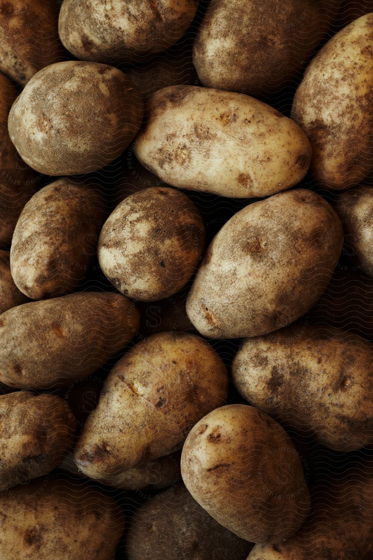 A closeup of a mound of russet potatoes