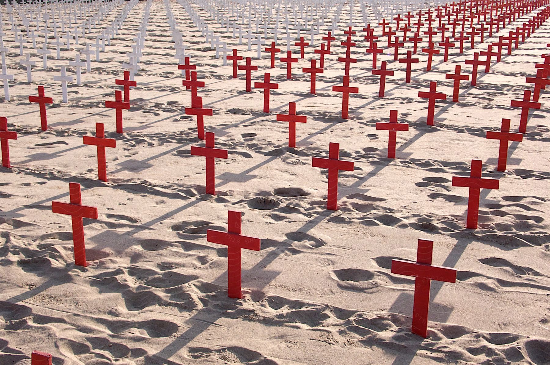 A row of crosses in a graveyard