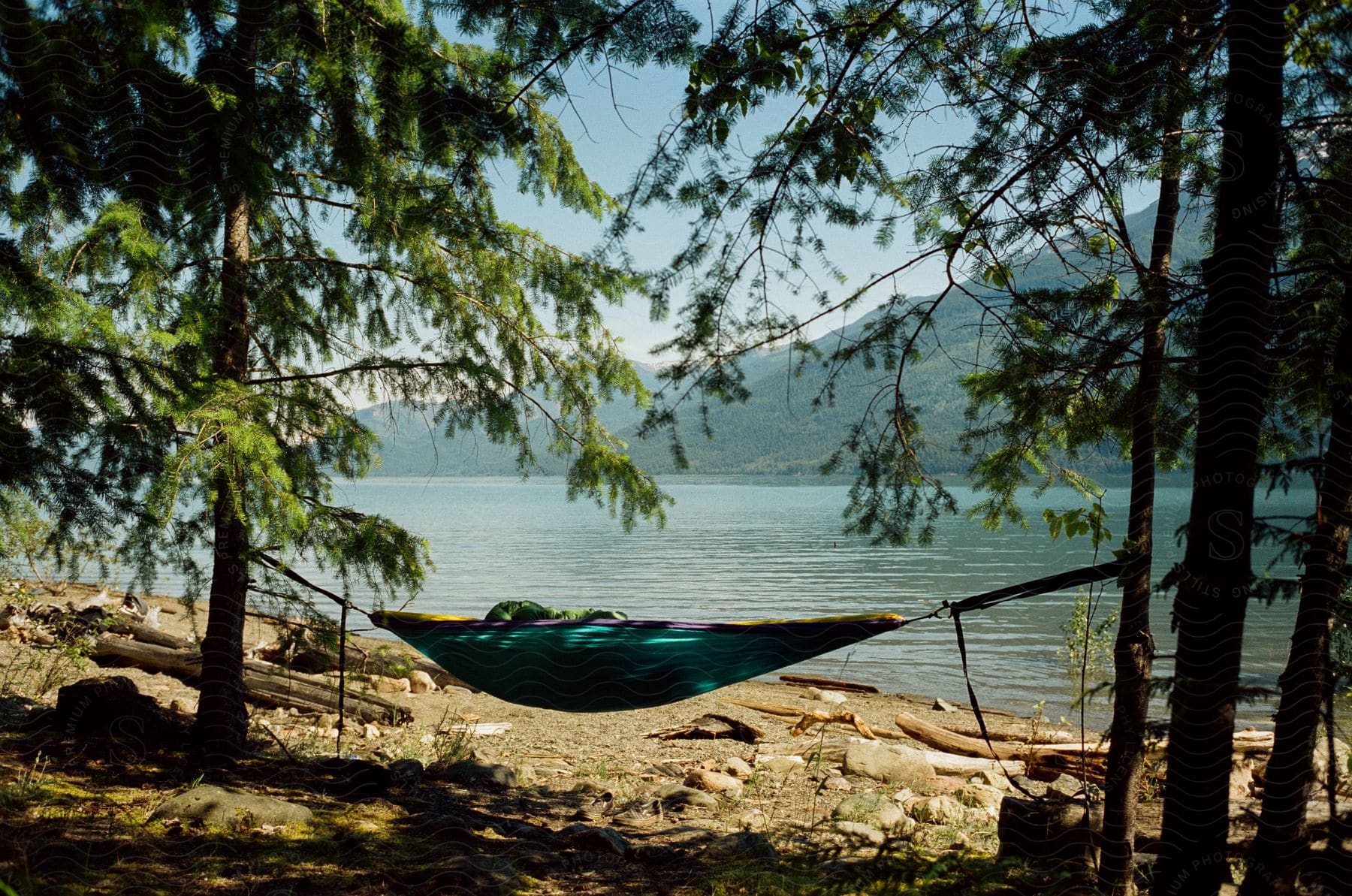 A hammock is strung between two trees on the shore of a lake